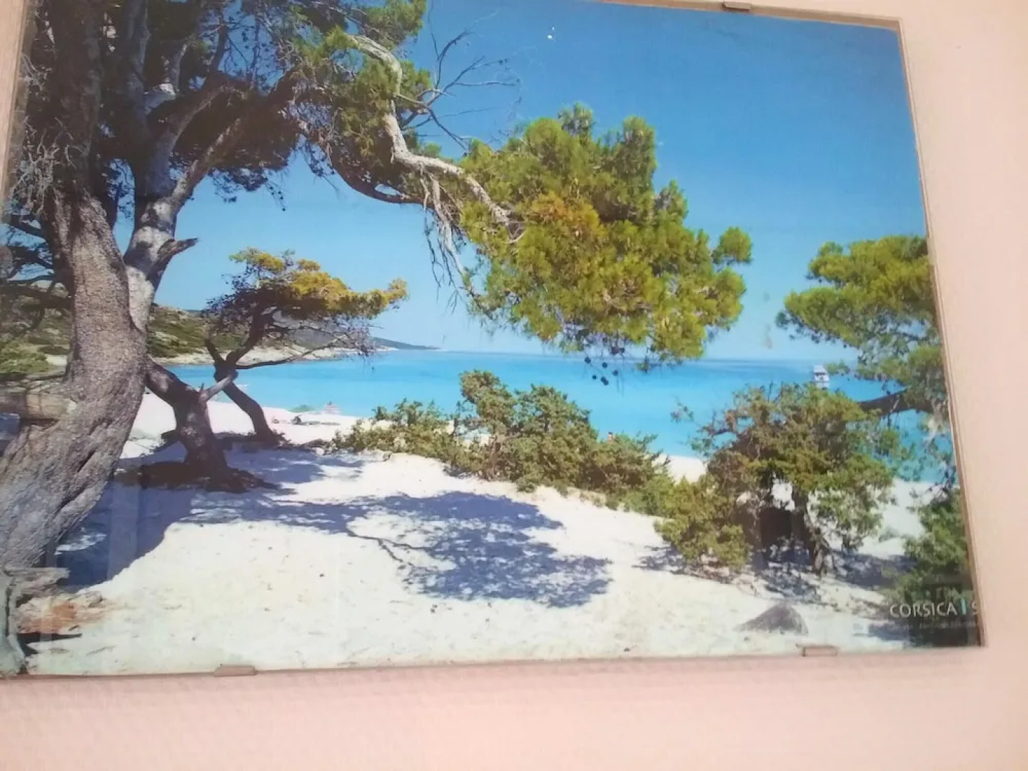 House With 2 Bedrooms in Oletta, With Wonderful sea View, Enclosed Gar