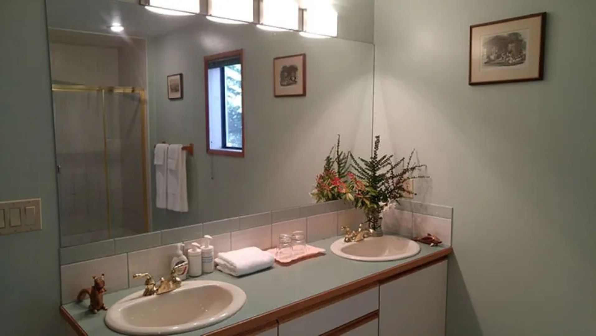 Sunshine Coast Treetop Wonderland