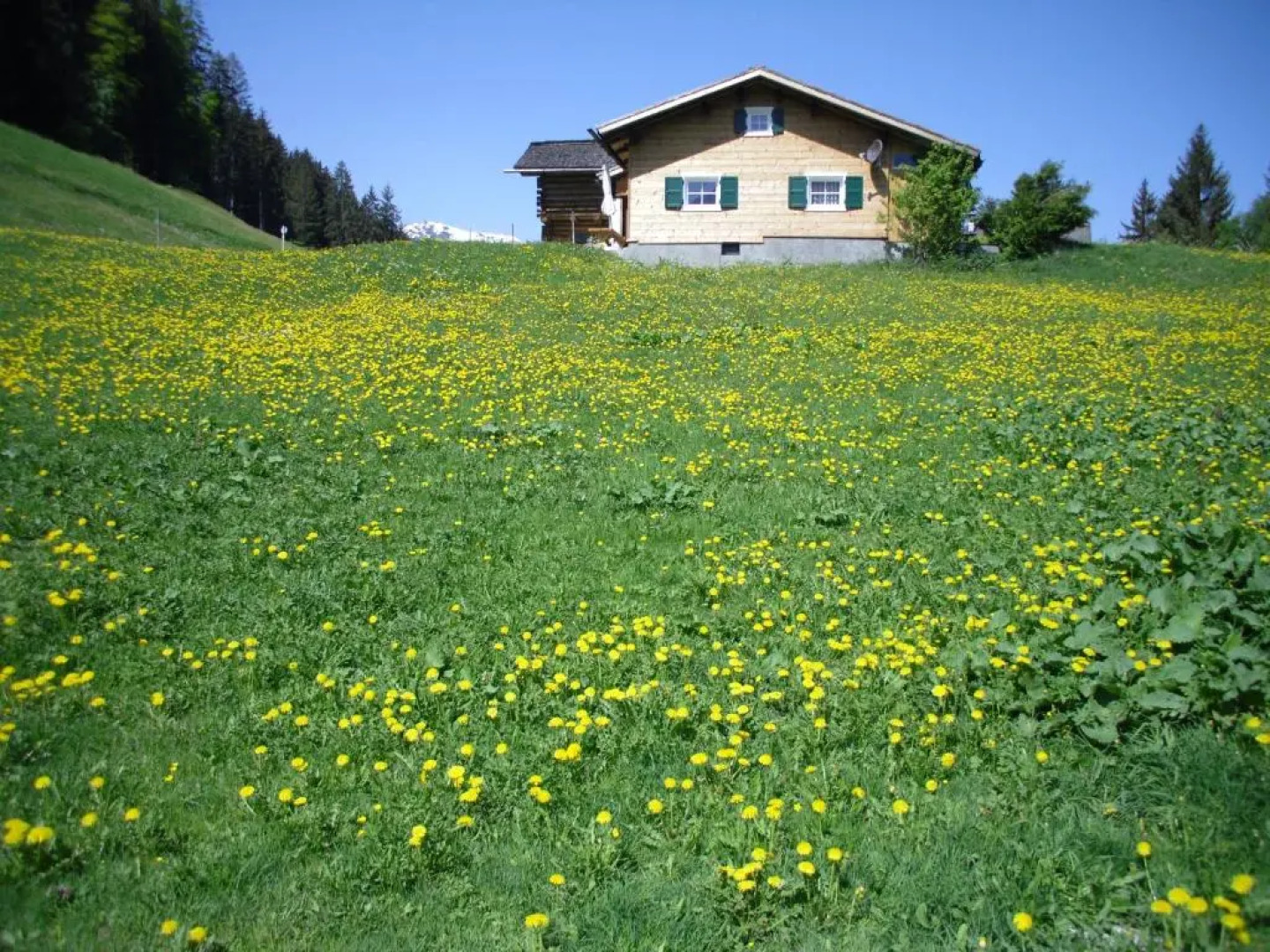 Maisäß Lifinarblick