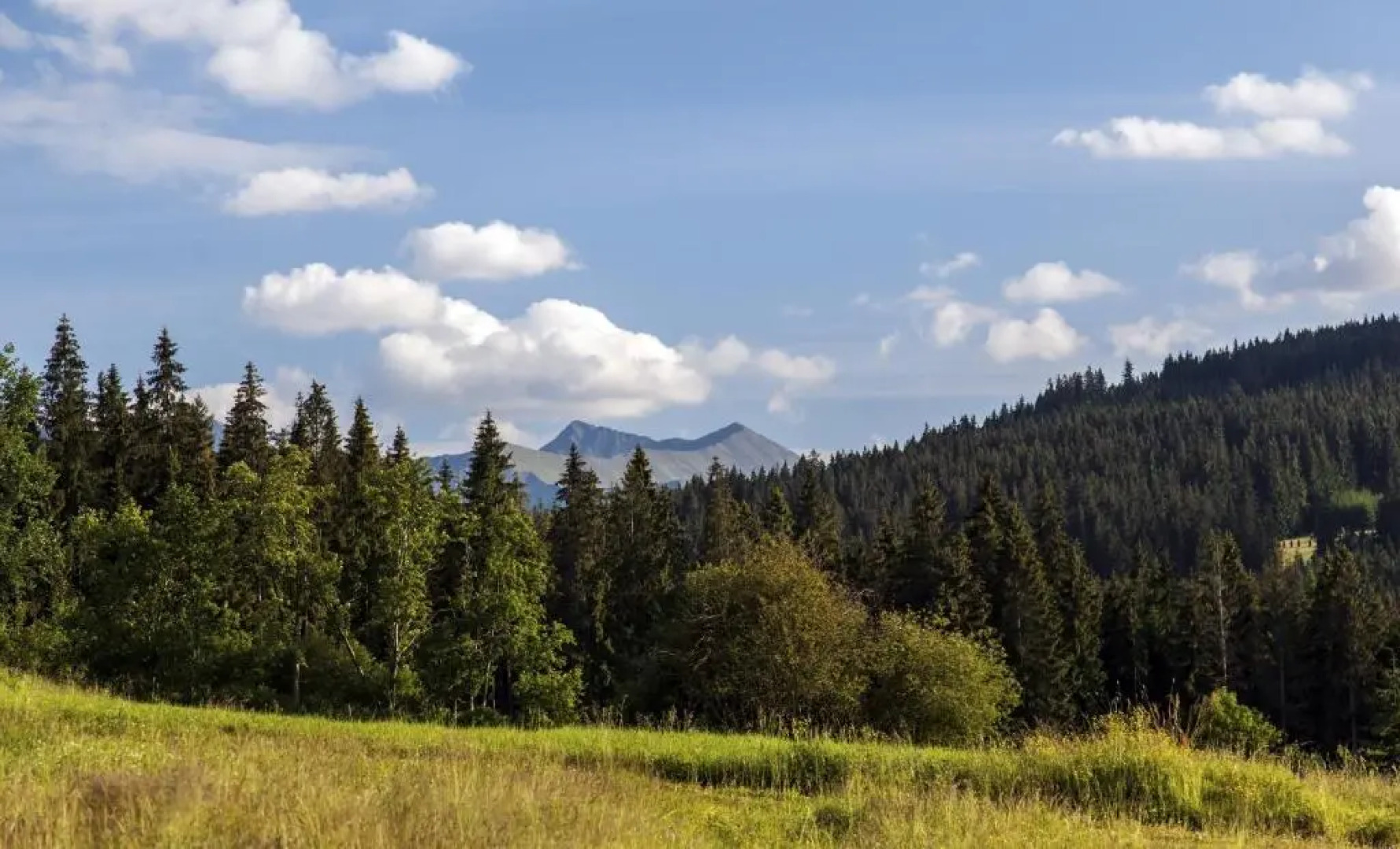 Maki Domki Regionalne