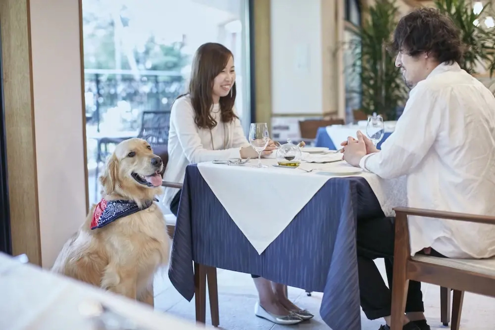 Le Chien Kyuu Karuizawa