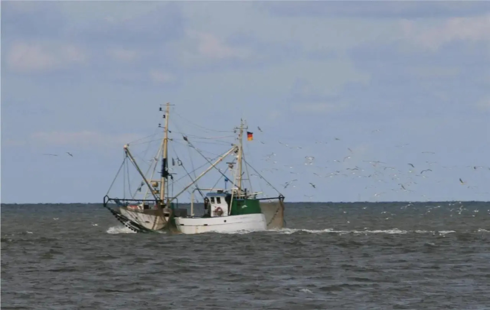 Ferienwohnungen am Aussendeich