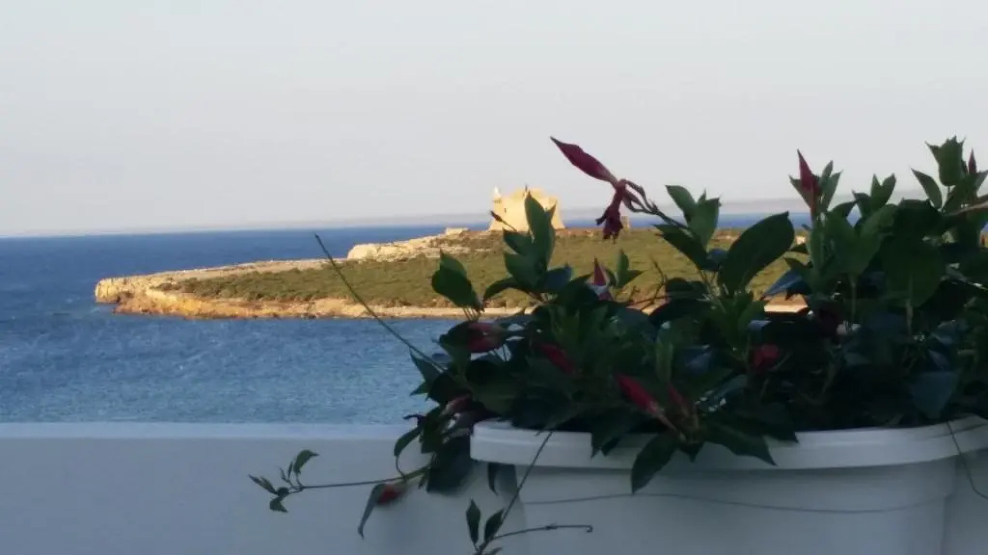 Apartments TERRAZZA DEI DUE MARI