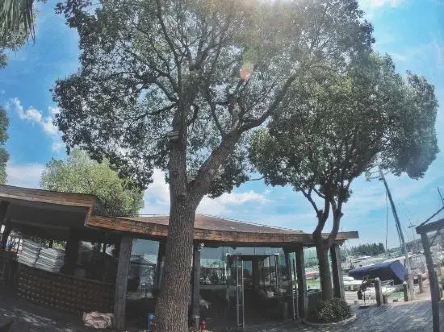 Rhine Dream Yacht Club