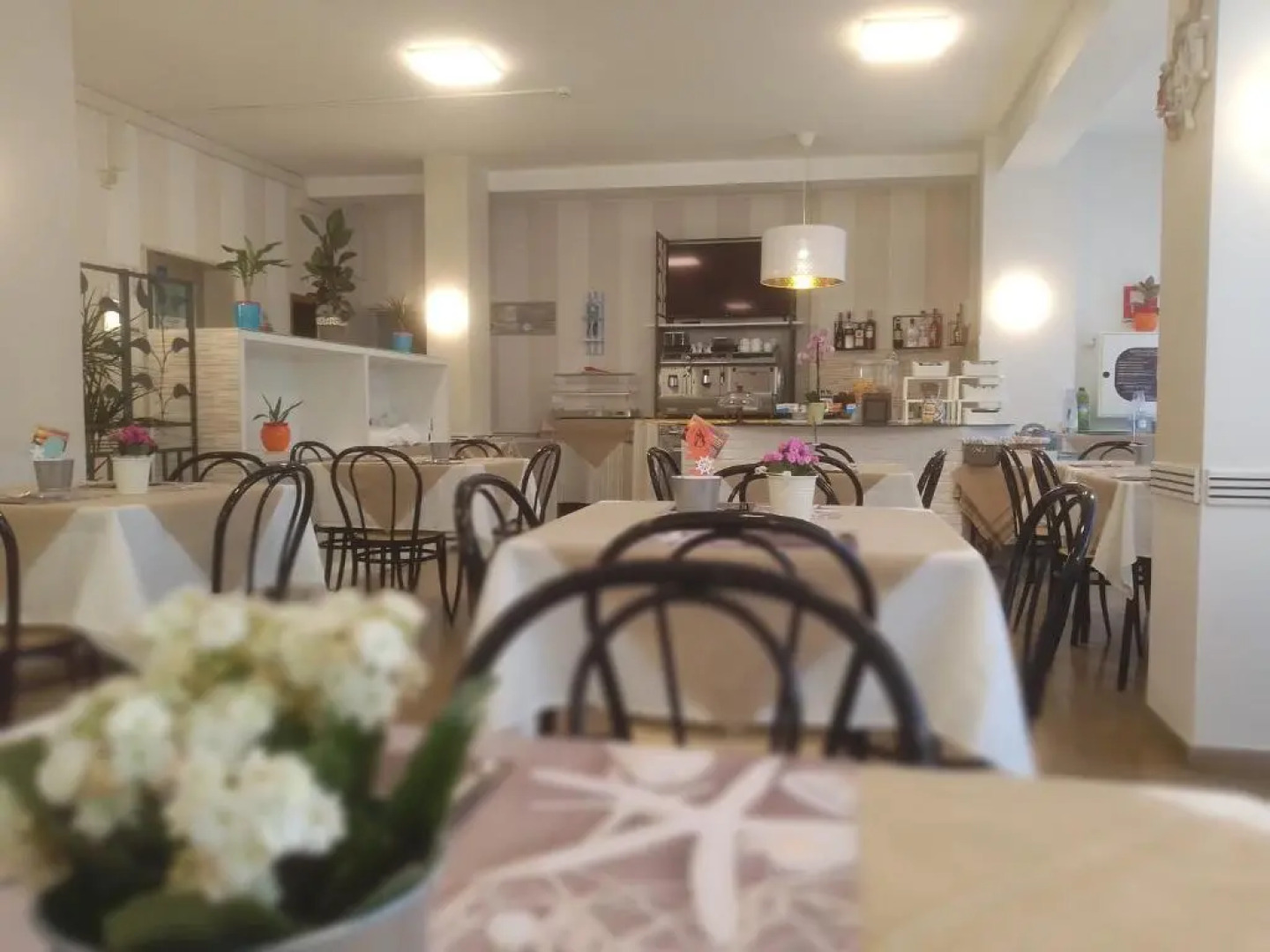 Hotel Meuble Cordial