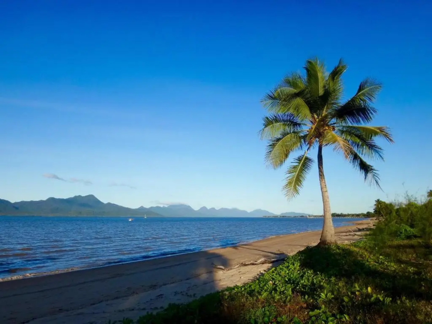 Cardwell at the Beach