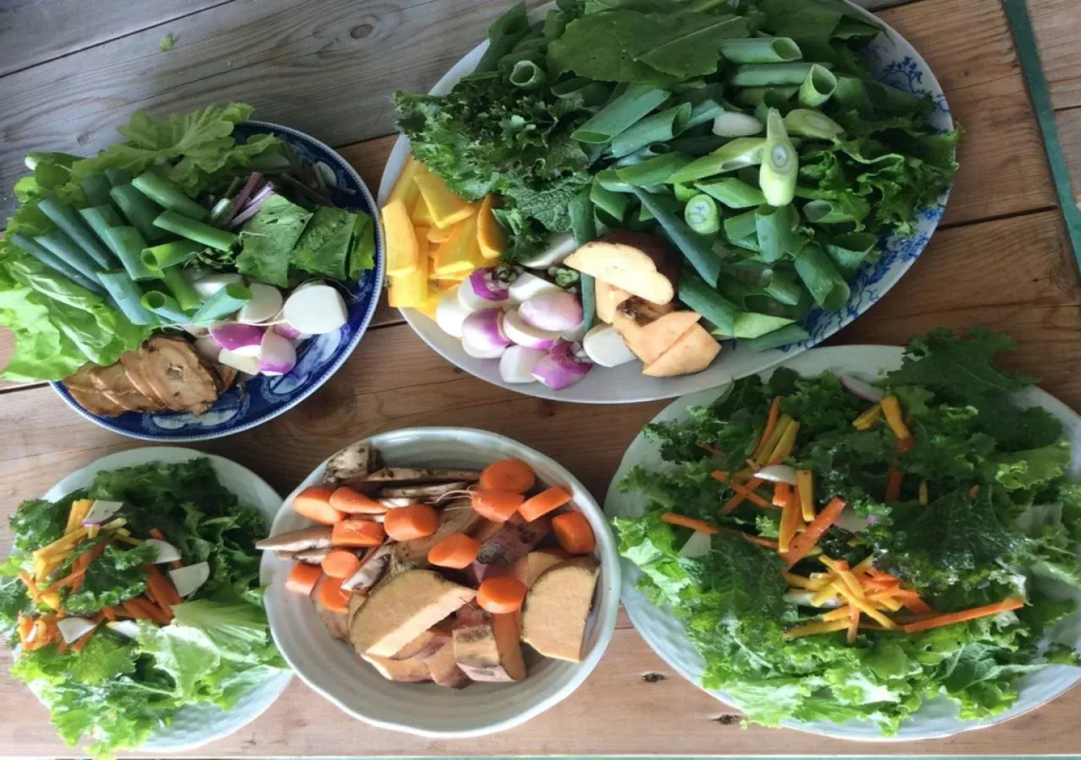 Seaside Guest House Plumeria