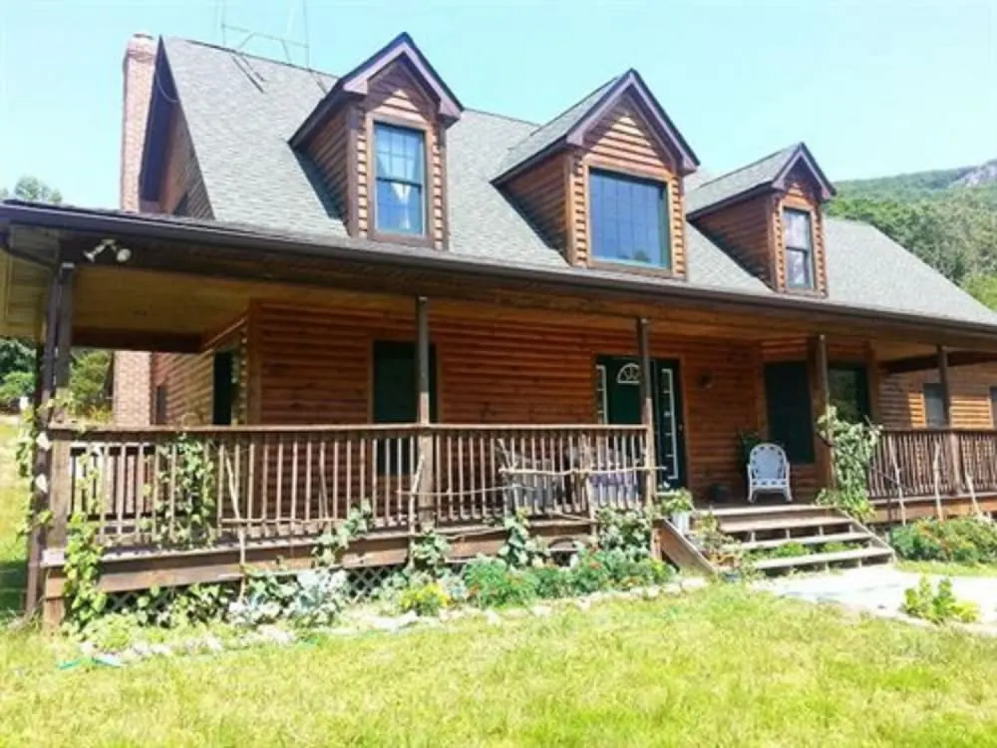 Lost Forest Bed and Breakfast