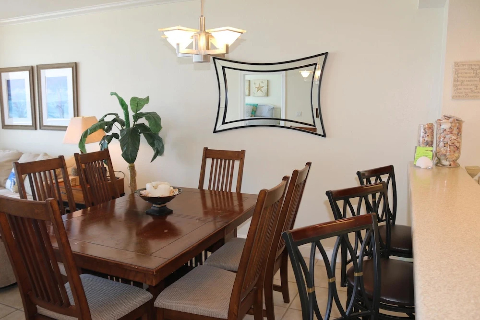 Emerald Dolphin by Surfside VR