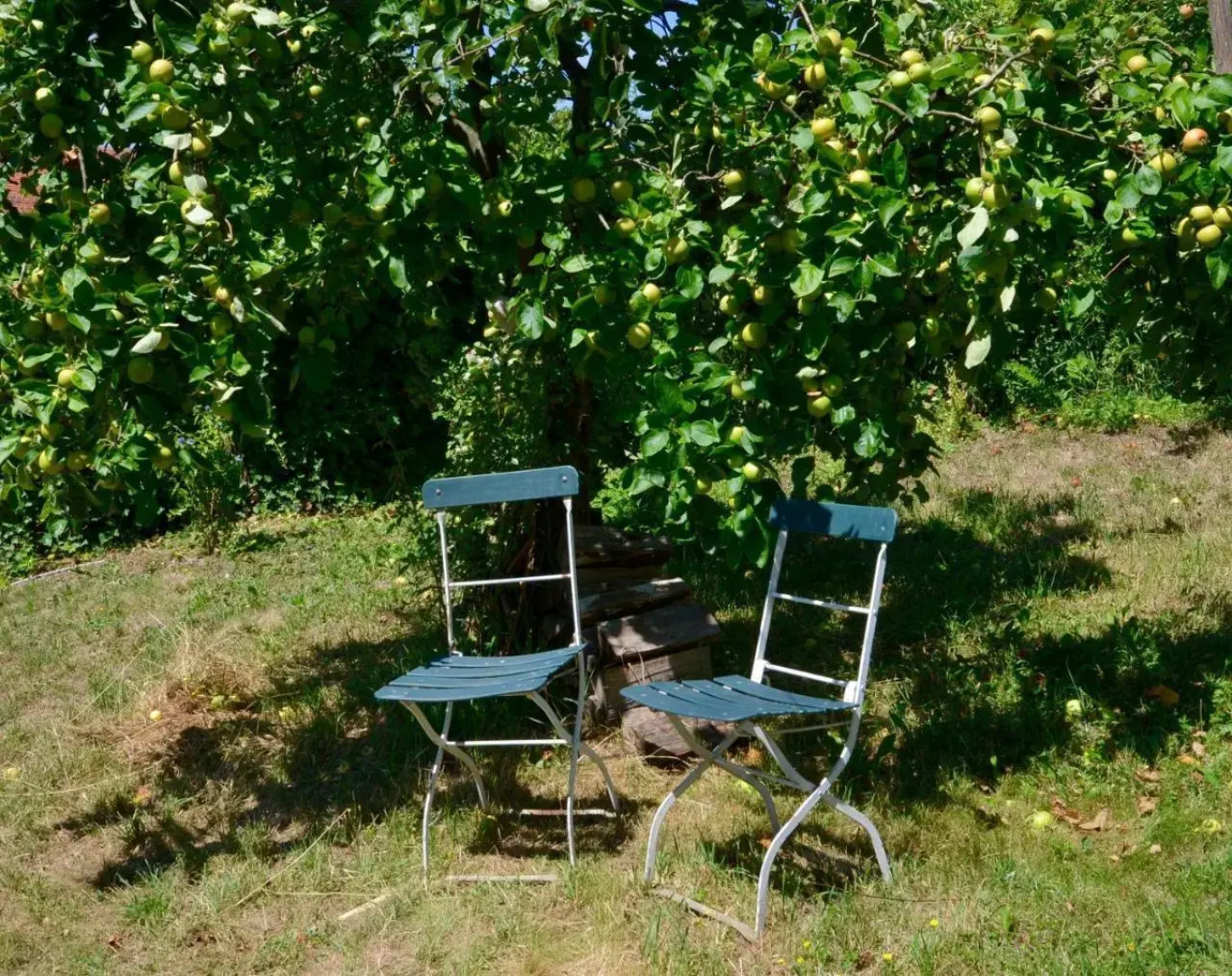 Sommer 81 - bed & breakfast