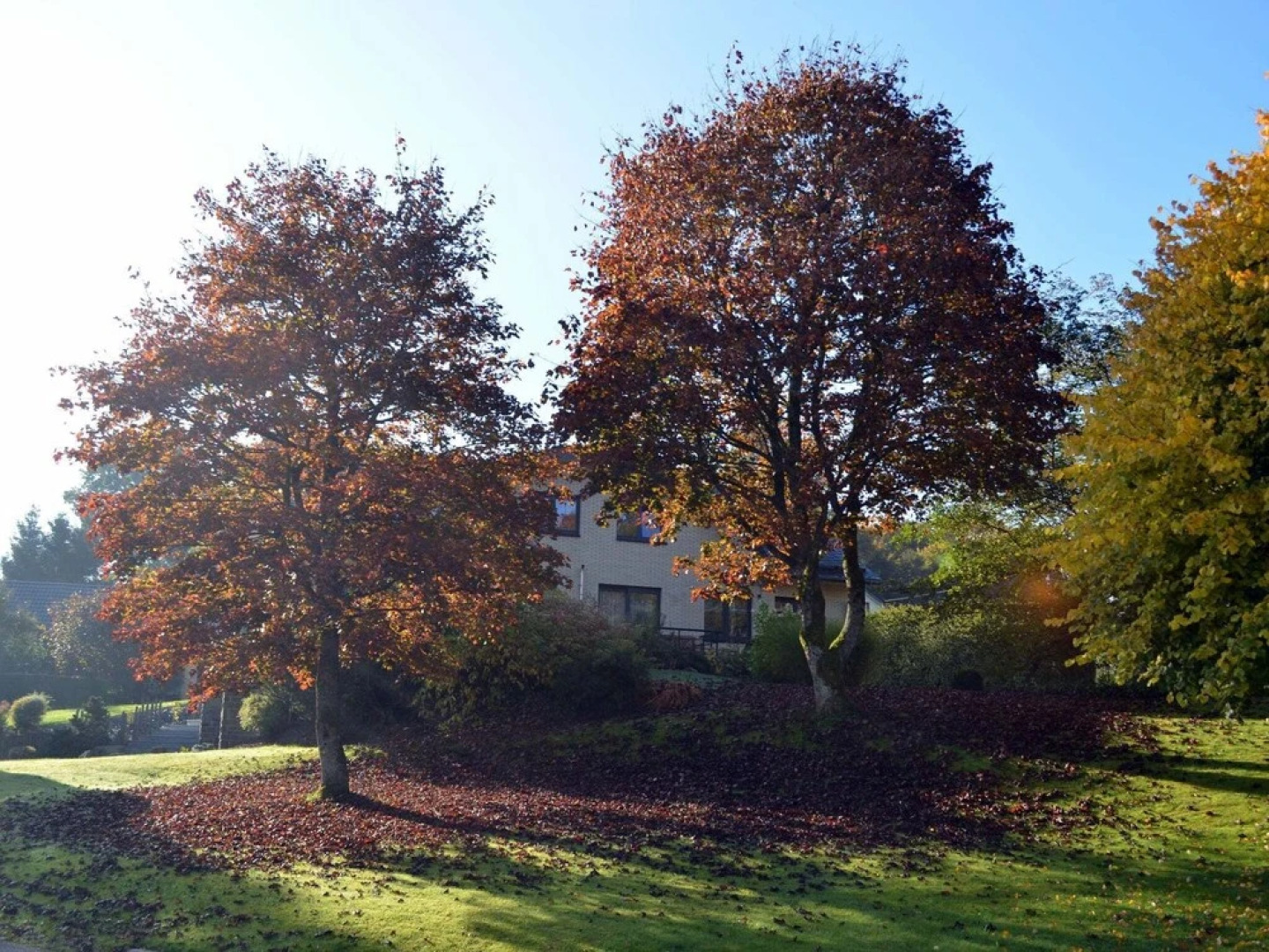 Spacious Apartment in Weywertz with Private Garden