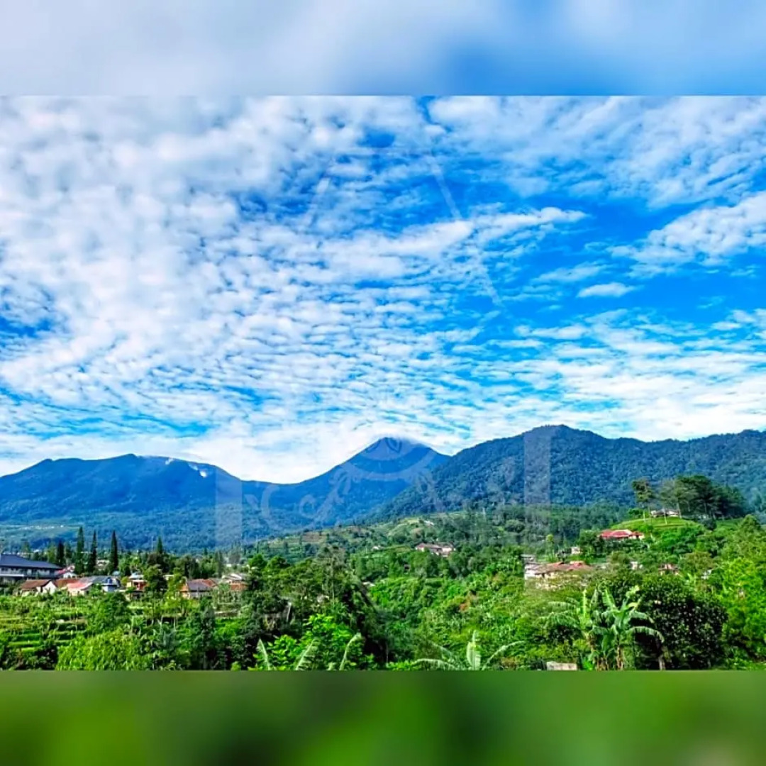 Studio Room @ Wisma Halim Villas & Conference