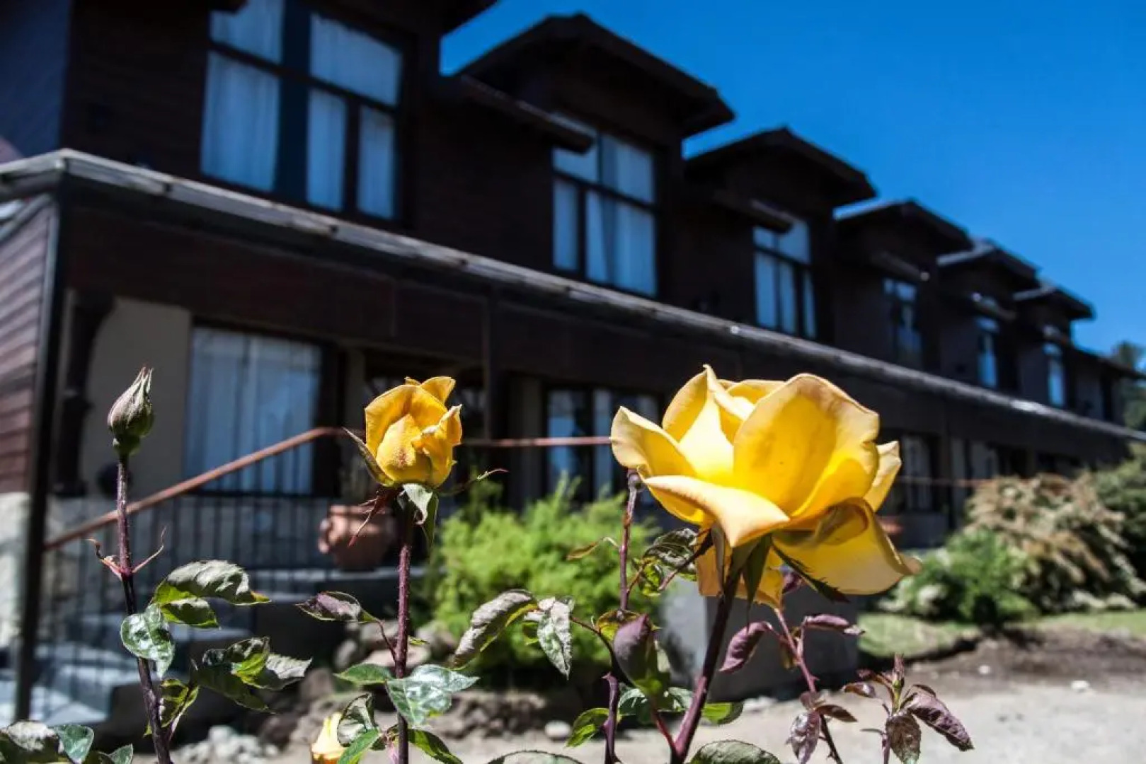 Apart Hotel Raices Patagonicas