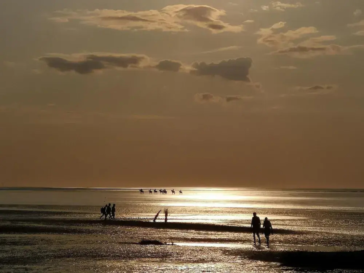 Stylish Apartment With Balcony