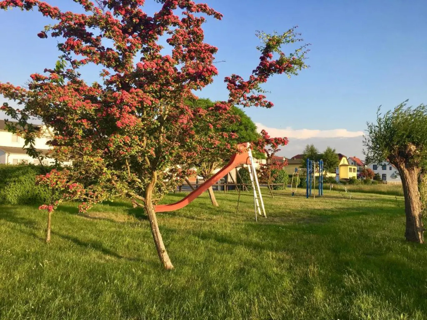 Villa "Windflüchter"