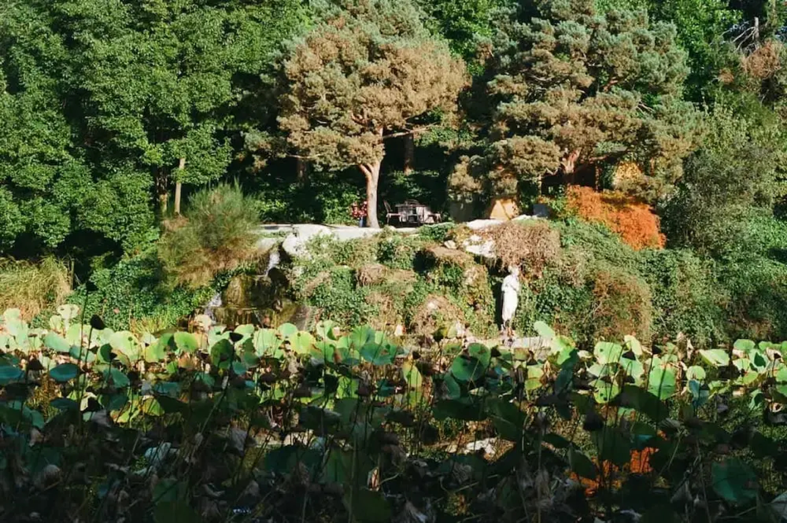 Tranquil 1BR Villa in Revislate