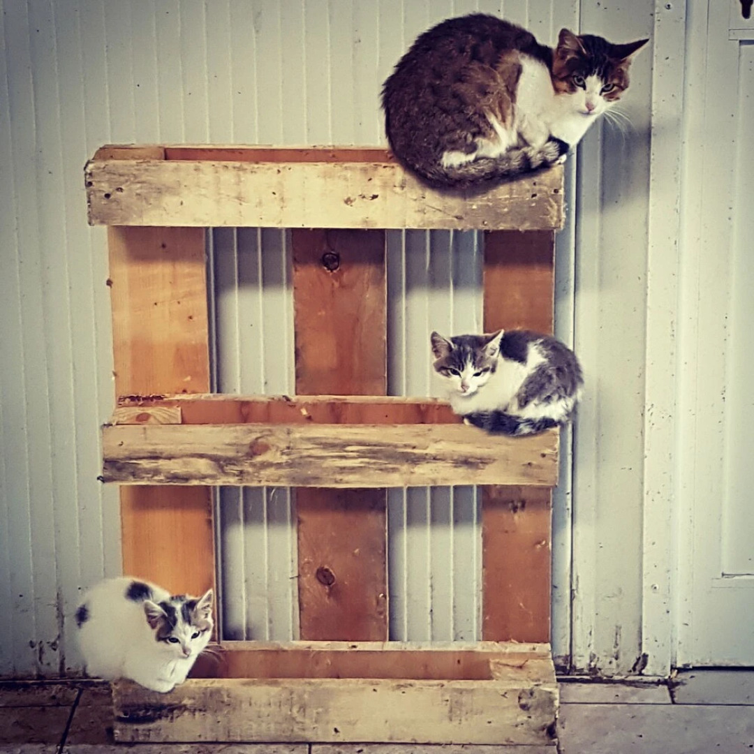 Le Gîte de La Ferme Du Tertre