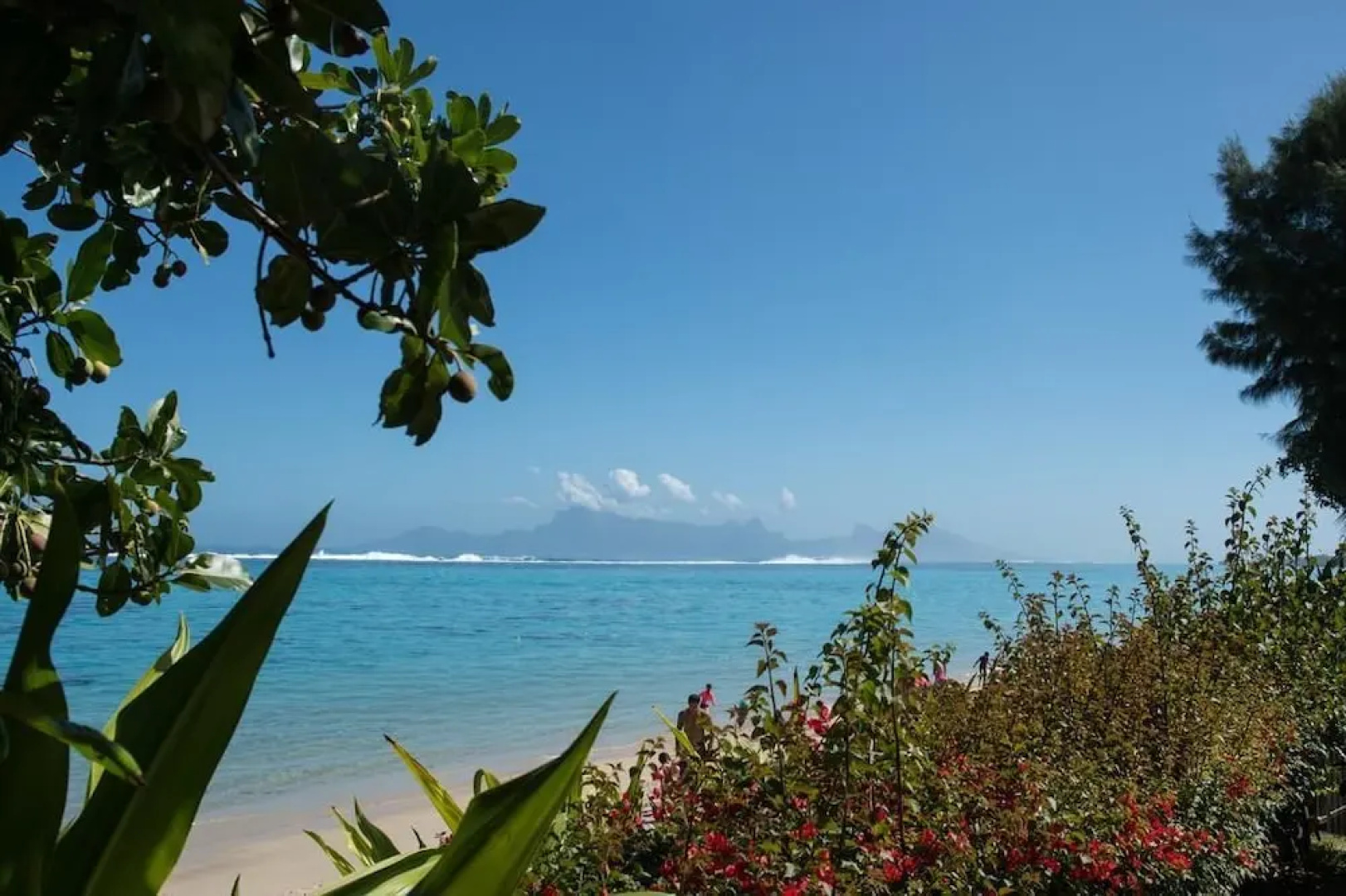Appartement Carlton Plage