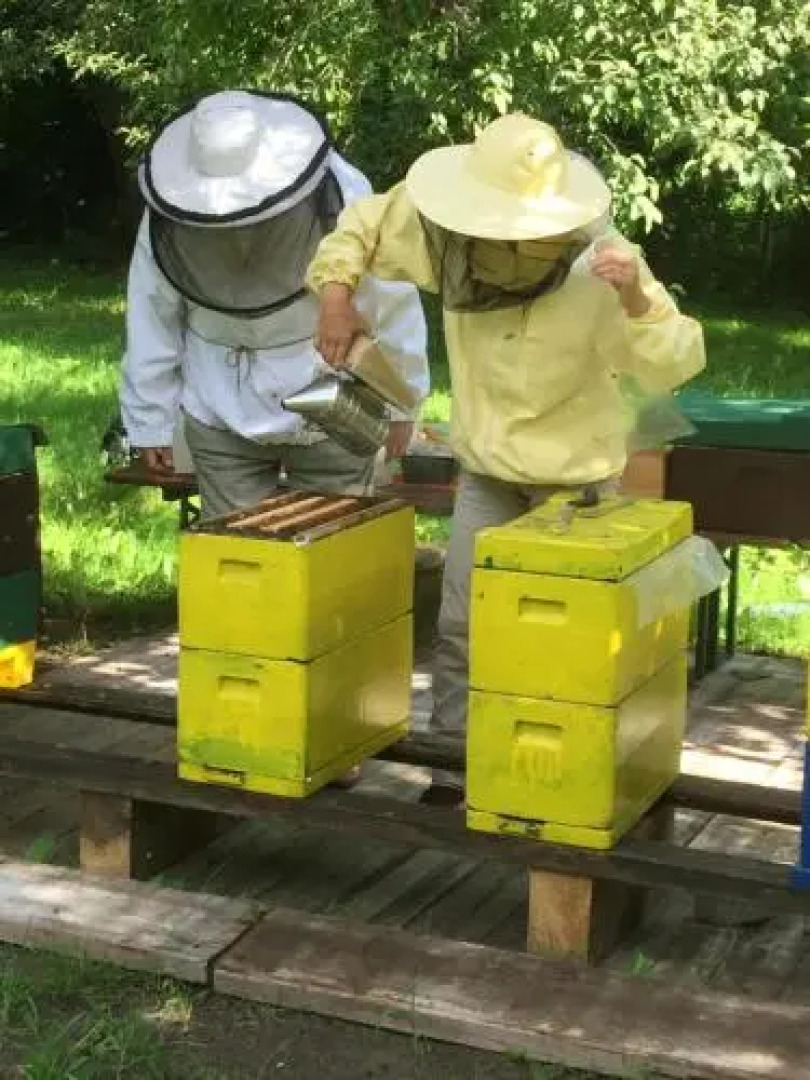 Ferienwohnungen direkt am Wasser