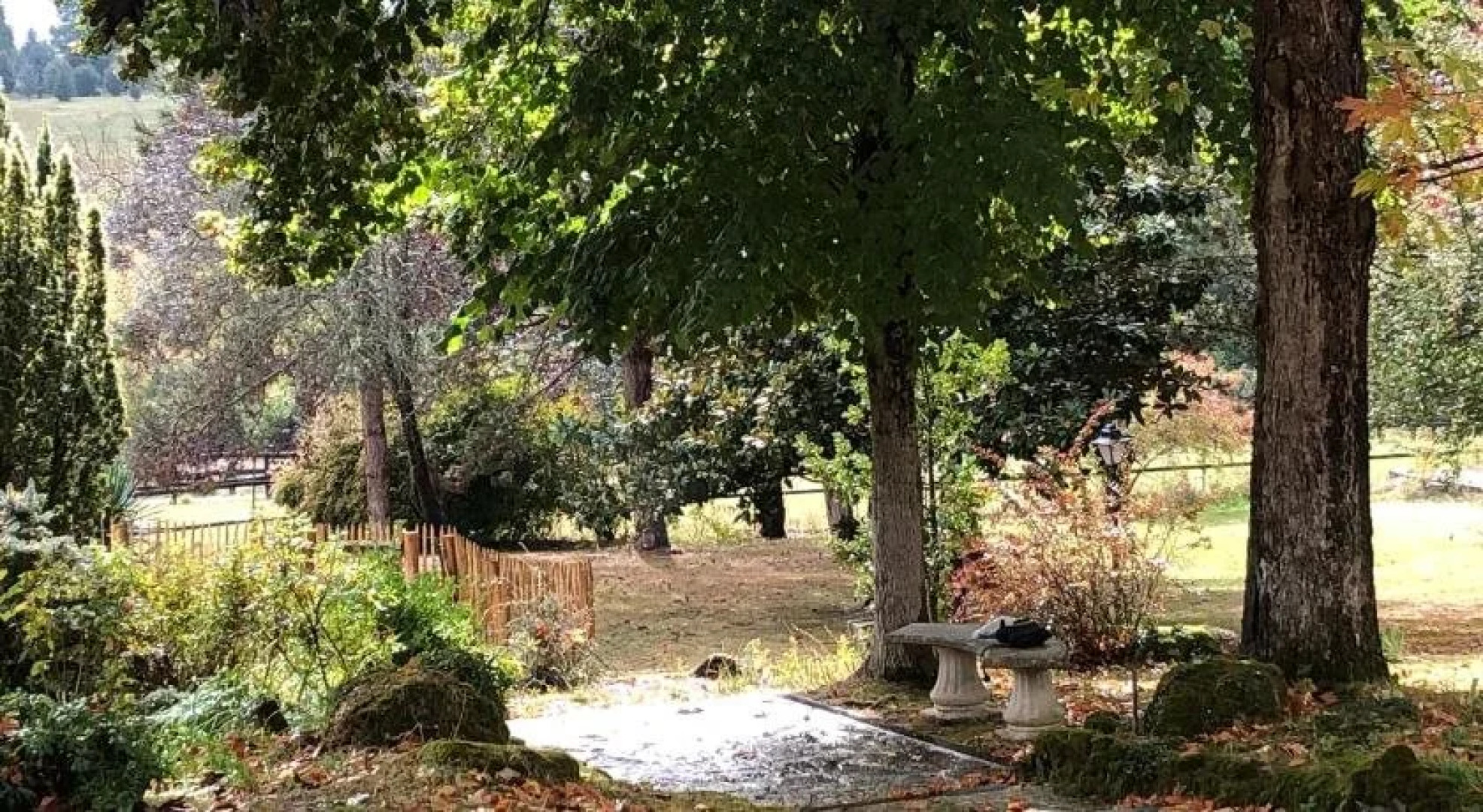 Les Ô de la laurence