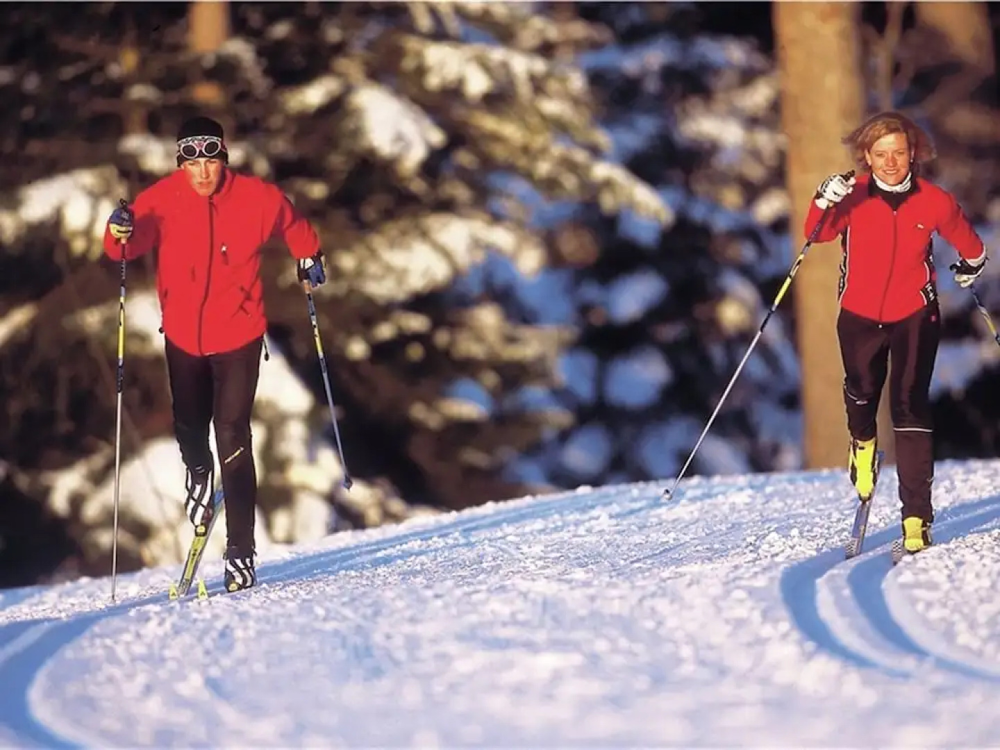 Modern Chalet in Obertraun With Terrace