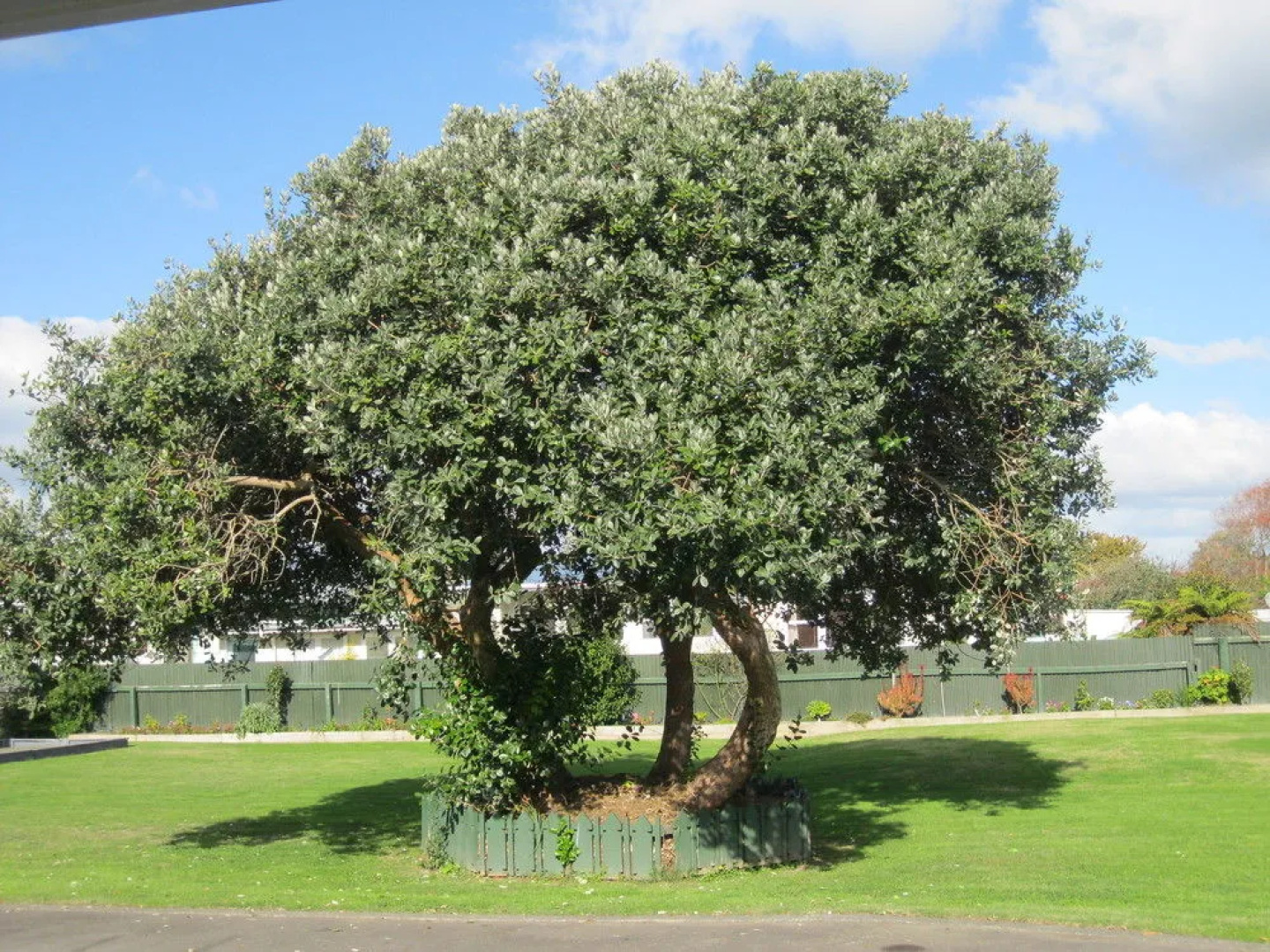 McLean Park Garden Motel