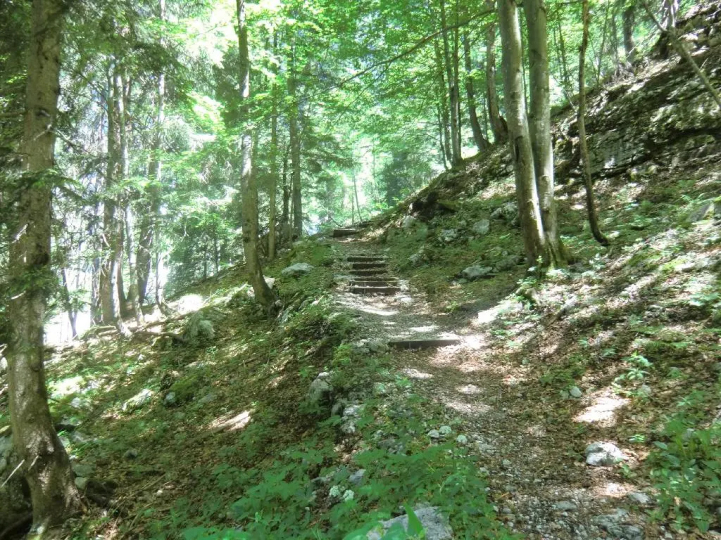 Haus Rye