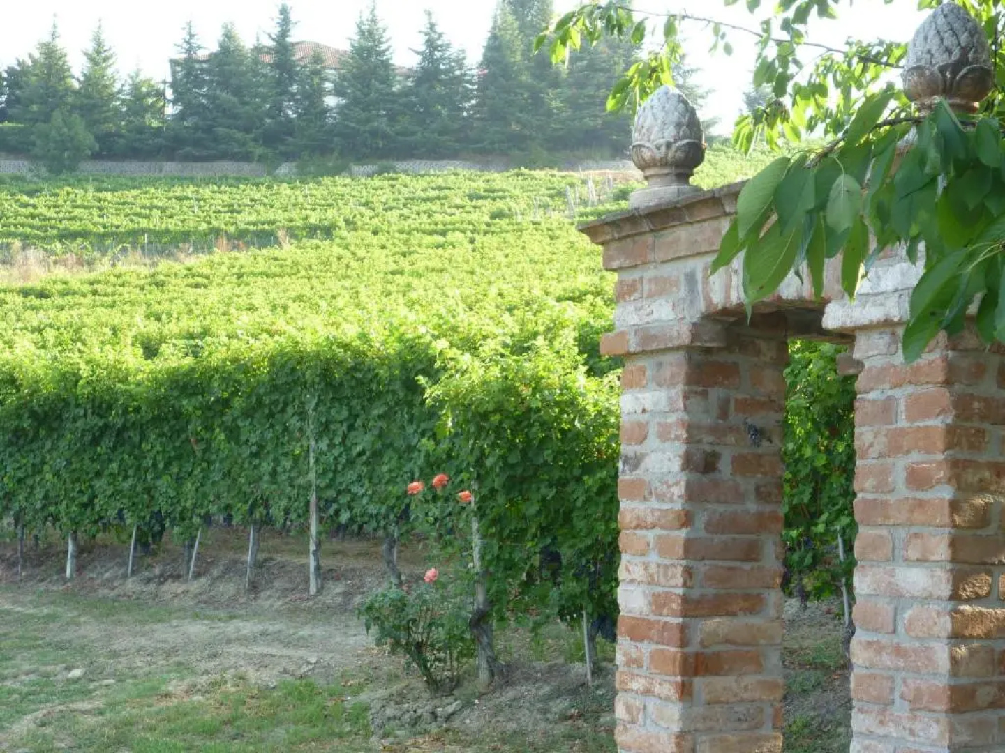 Villa La Favorita