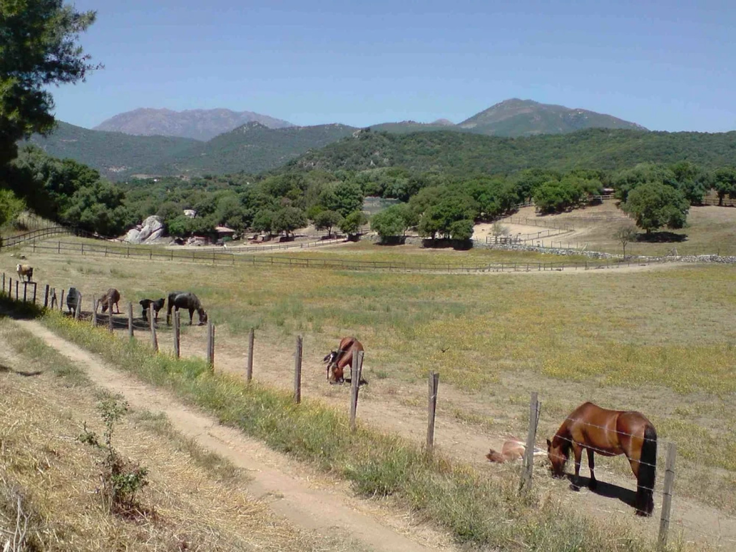 Camping Olva *** - Maeva Camping