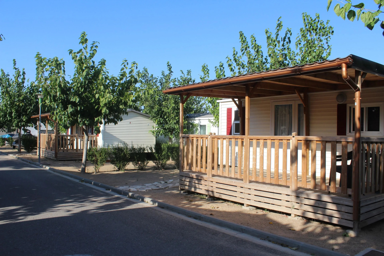 Camping Fayón Fishing