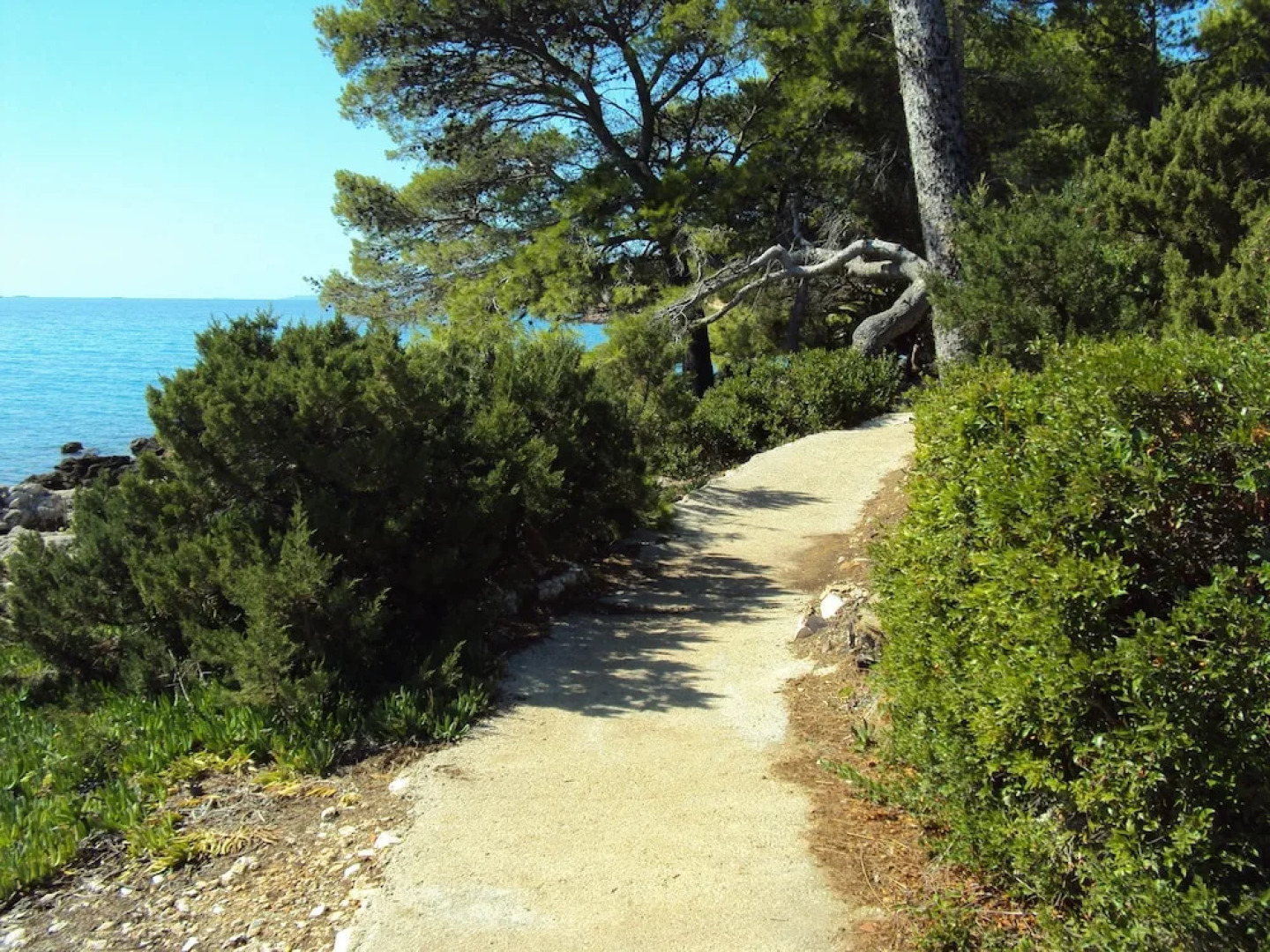 Guest House Plava Laguna Hvar