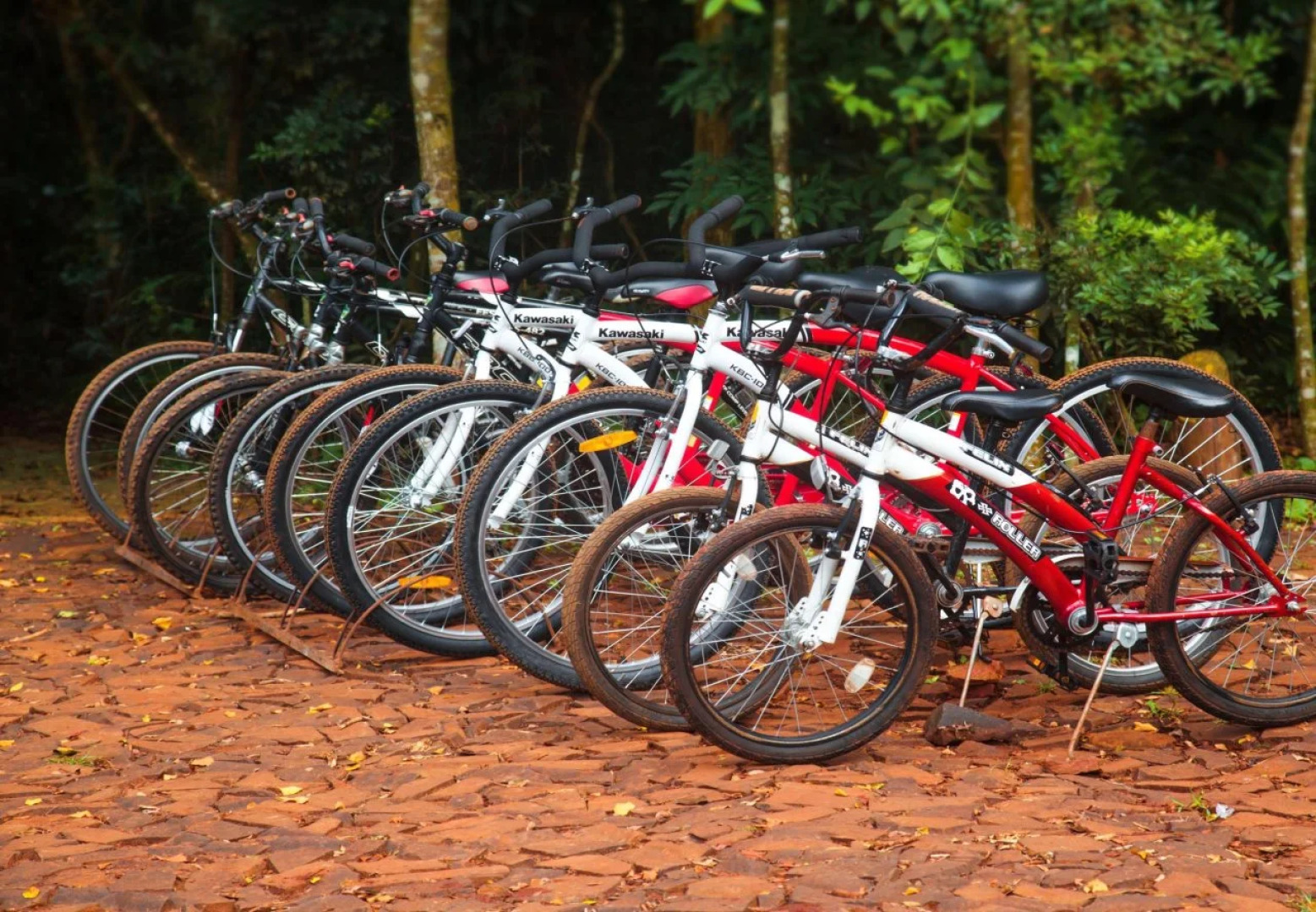 La Reserva Virgin Lodge