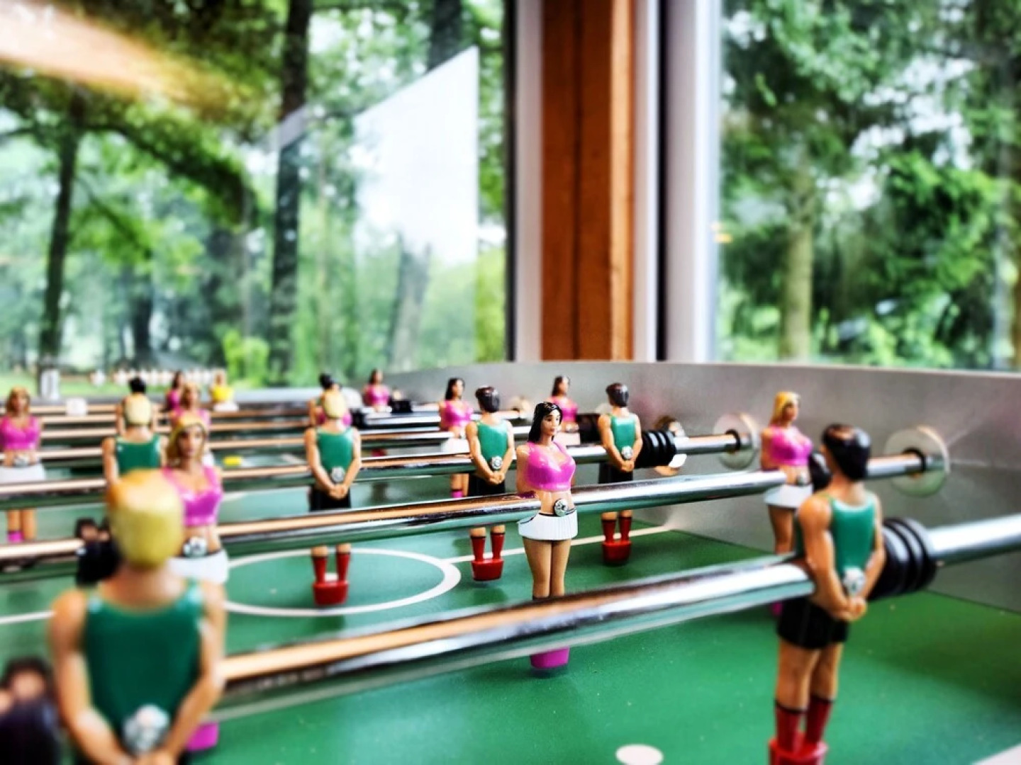 Premium Holiday Home in Vielsalm With Sauna