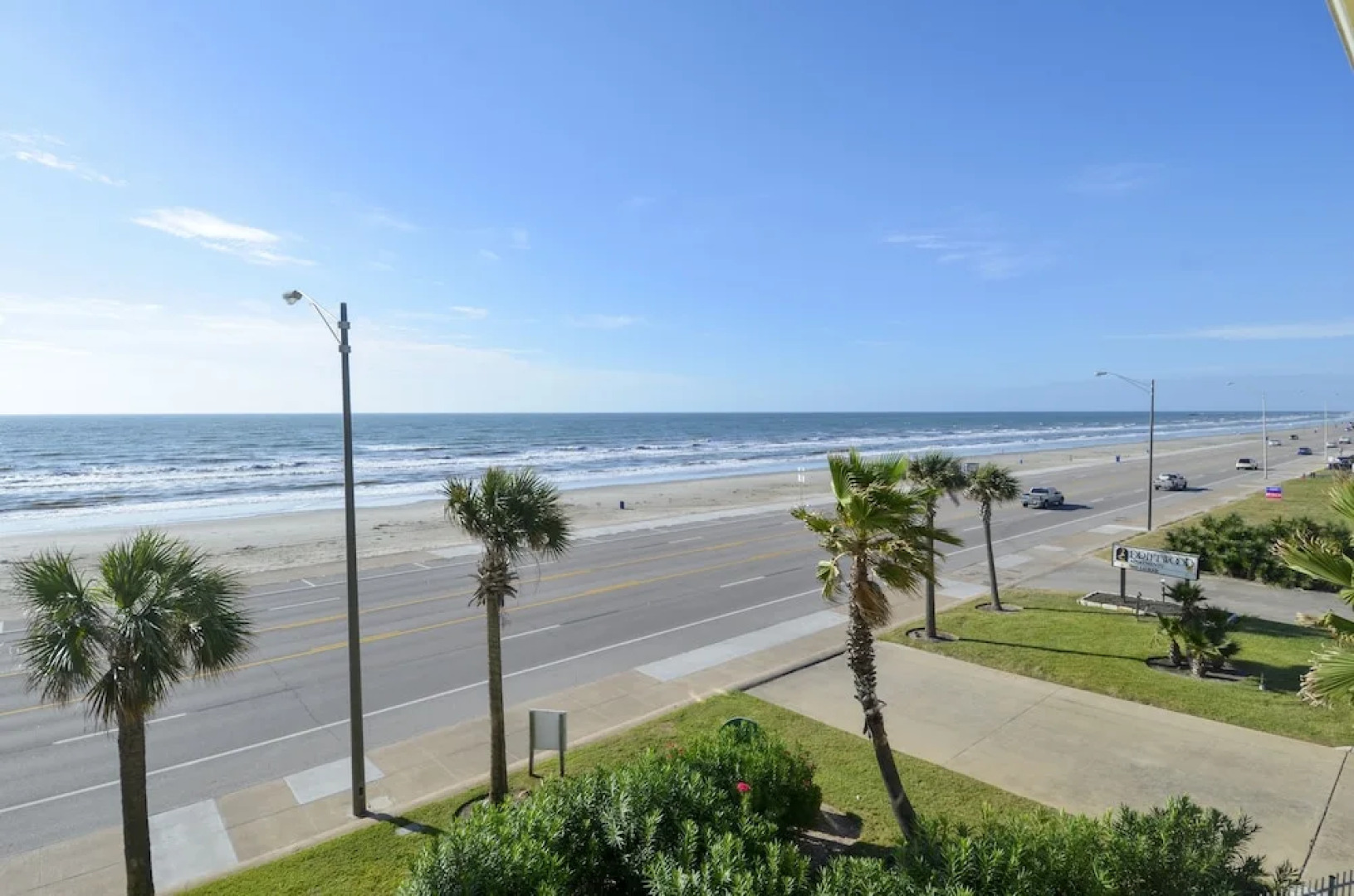 The Regal Seagull by RedAwning