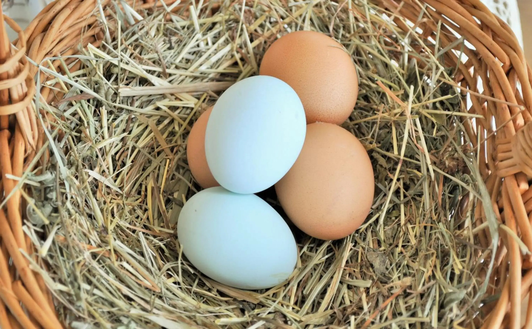 Boutique Hotel Pension Erlacher