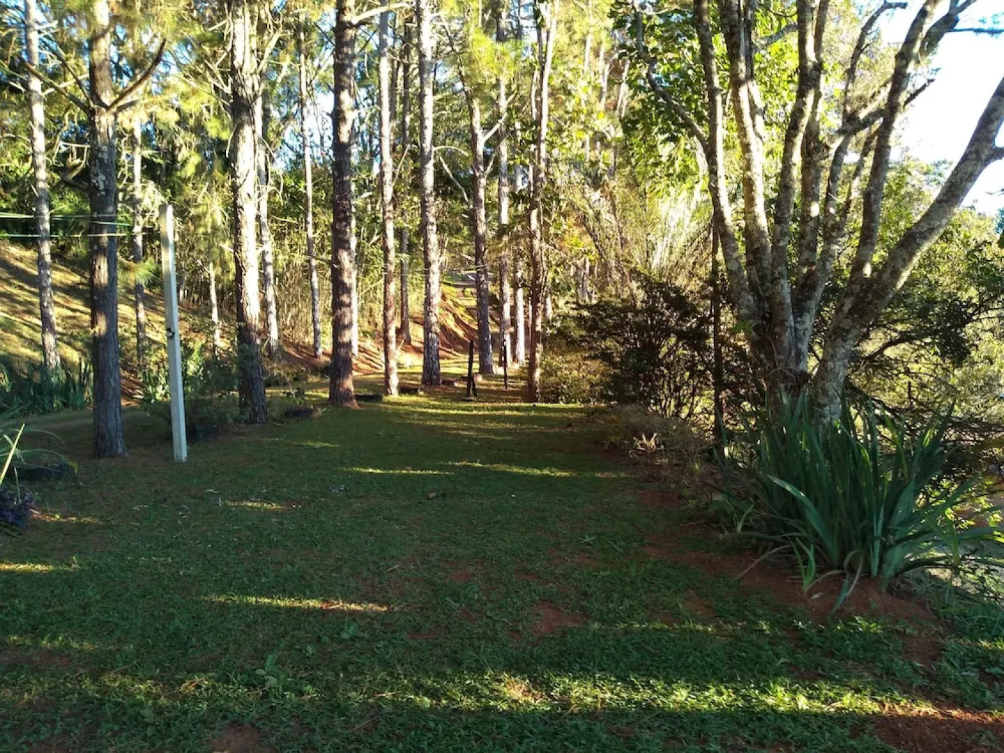 Sítio Colibri - Serra da Mantiqueira