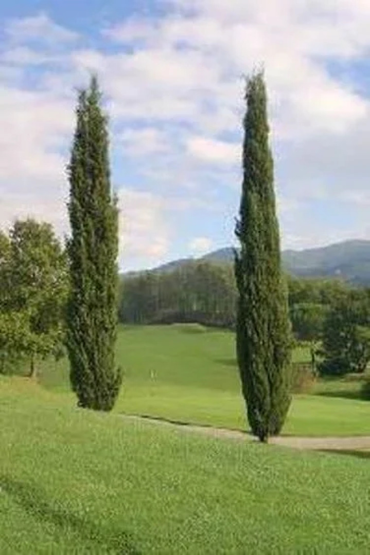 Grand Hotel Nizza Et Suisse