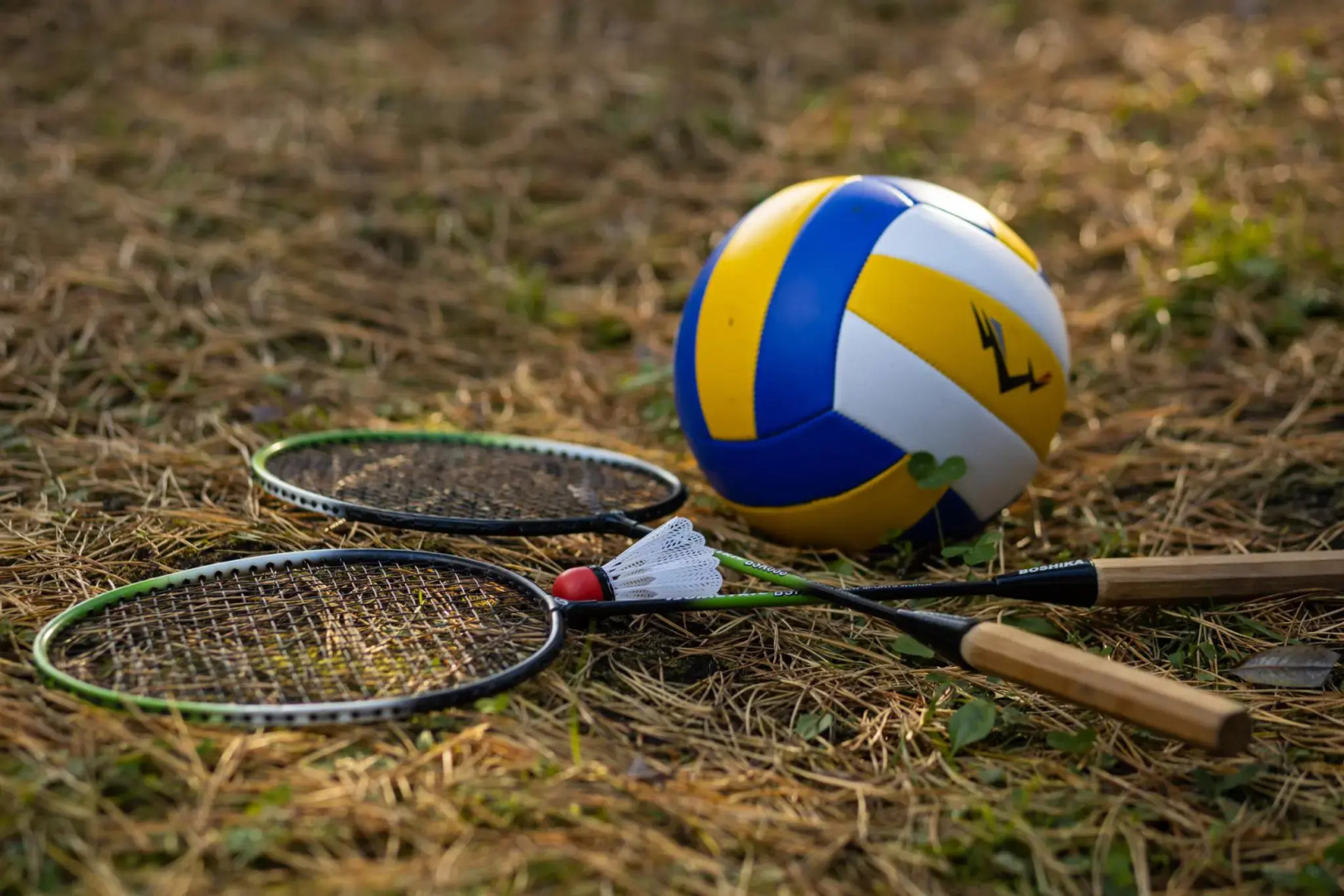 Сосновый рай