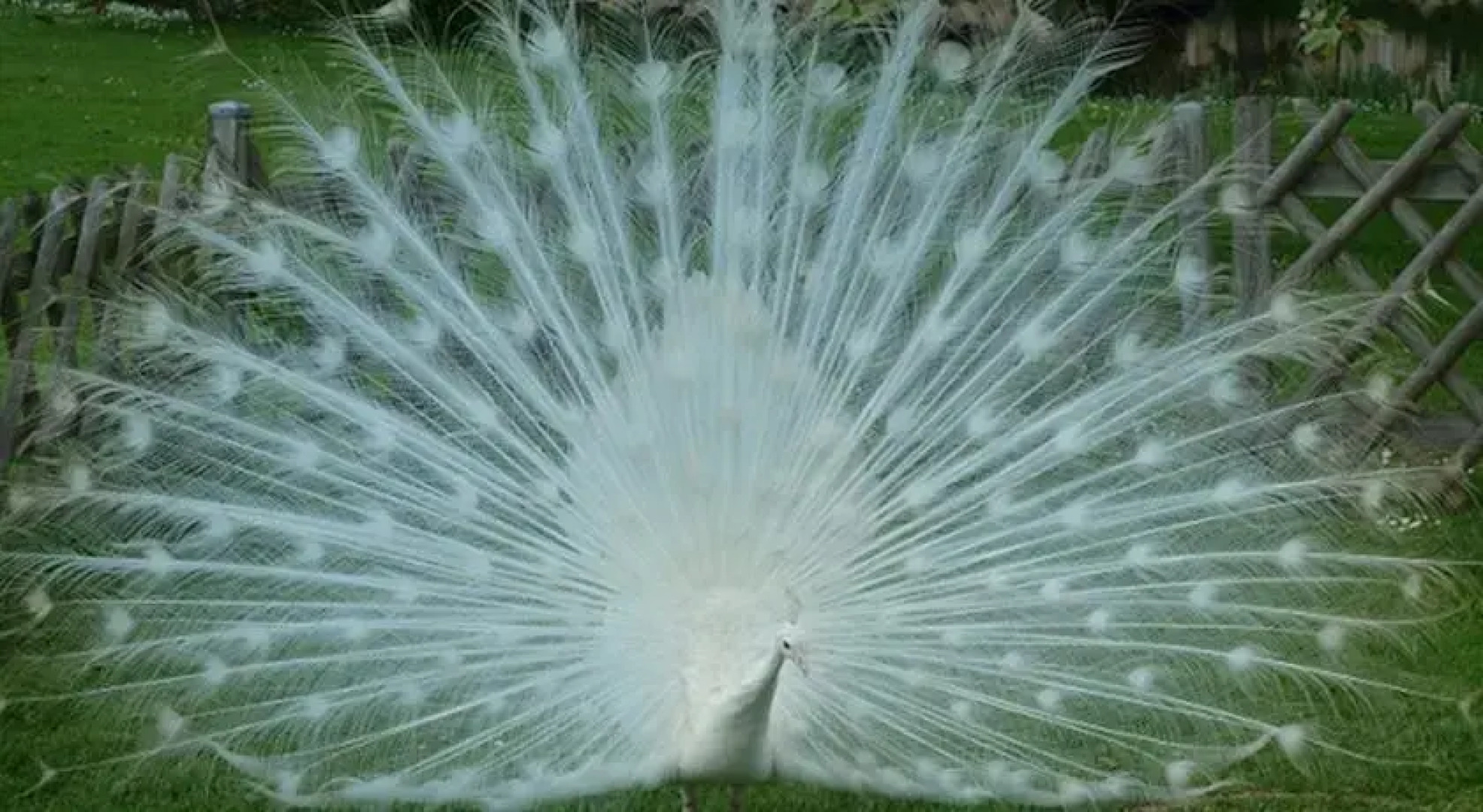 Au Bas Chalonge Gite Le Four à Pain