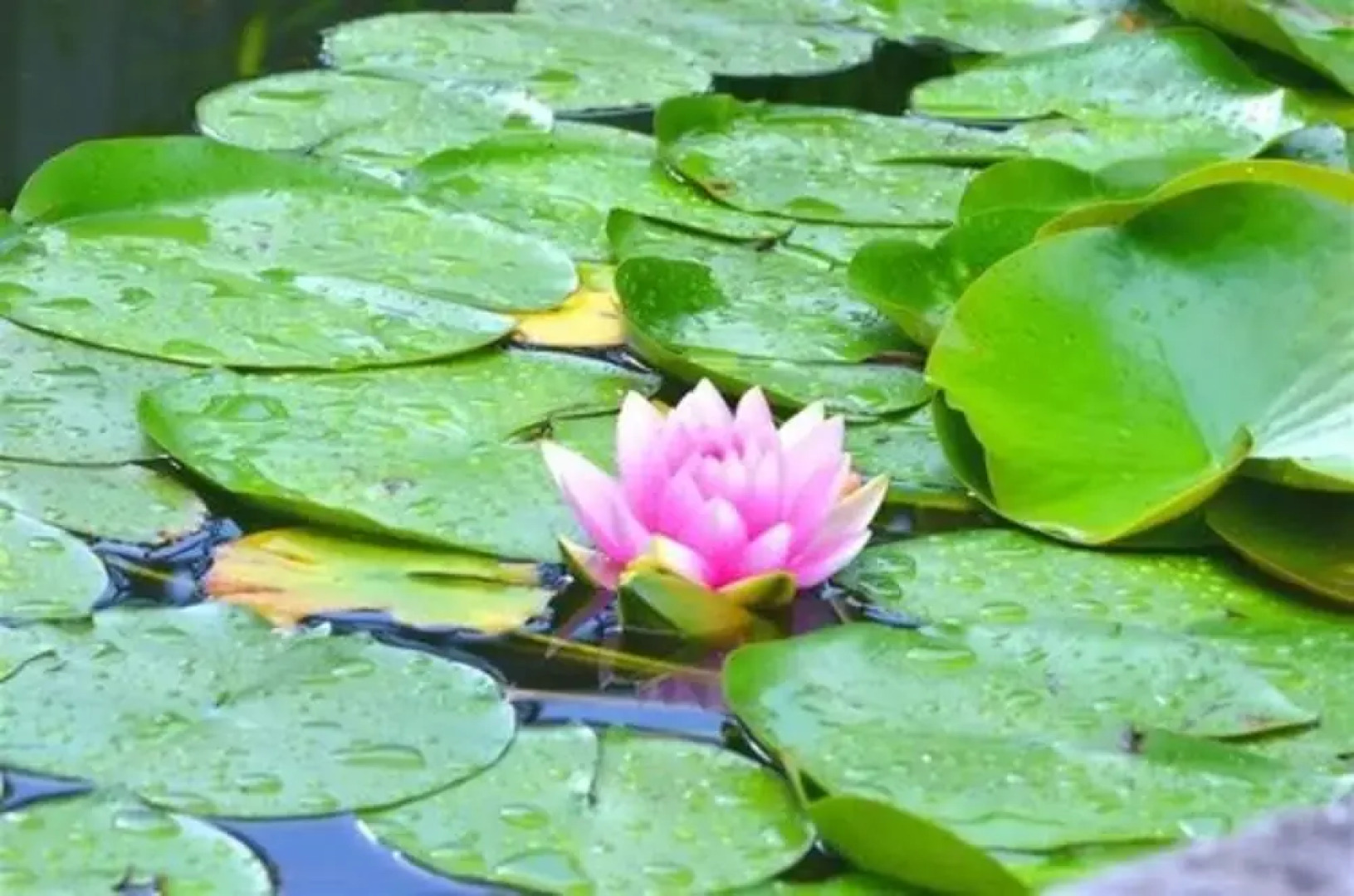 Union Gables Bed & Breakfast