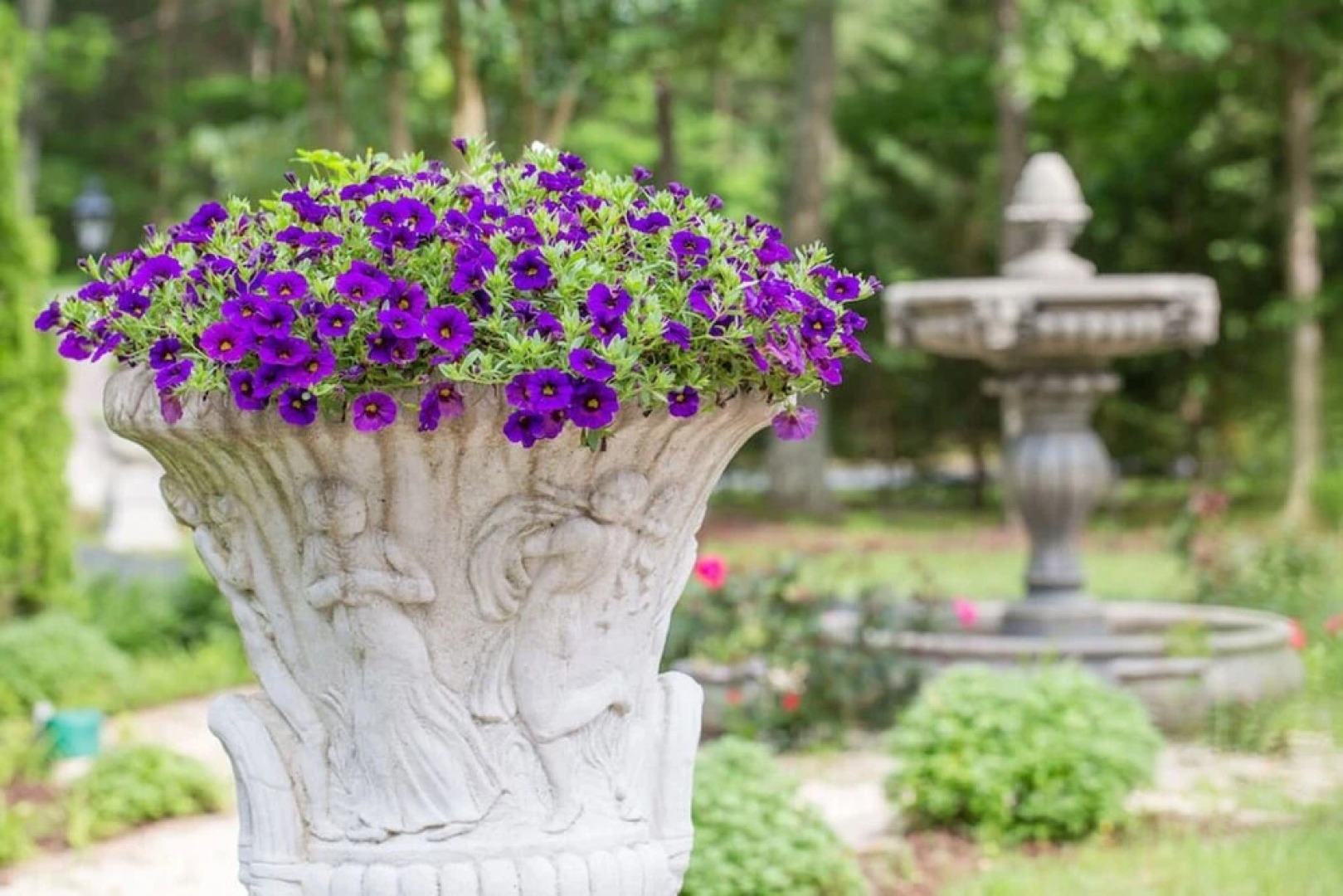 Rosewood Manor Bed & Breakfast