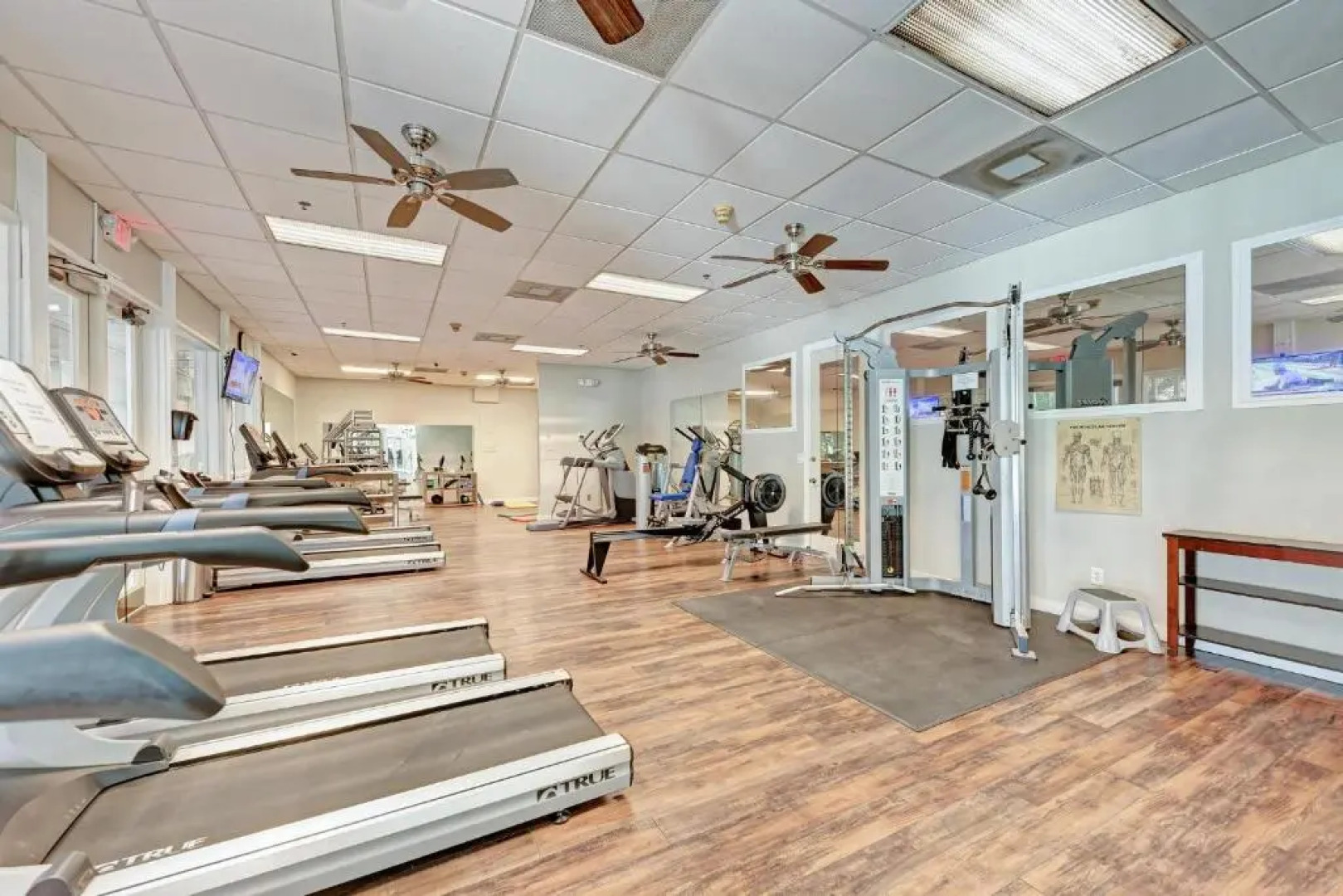 Longboat Key Cedars Beach House-pet Friendly-2 Minute To The Beach