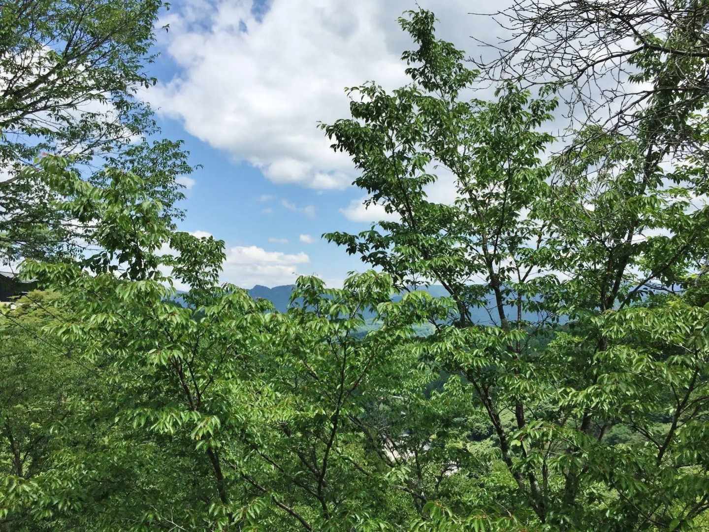 Ryokan Kato - Yoshino