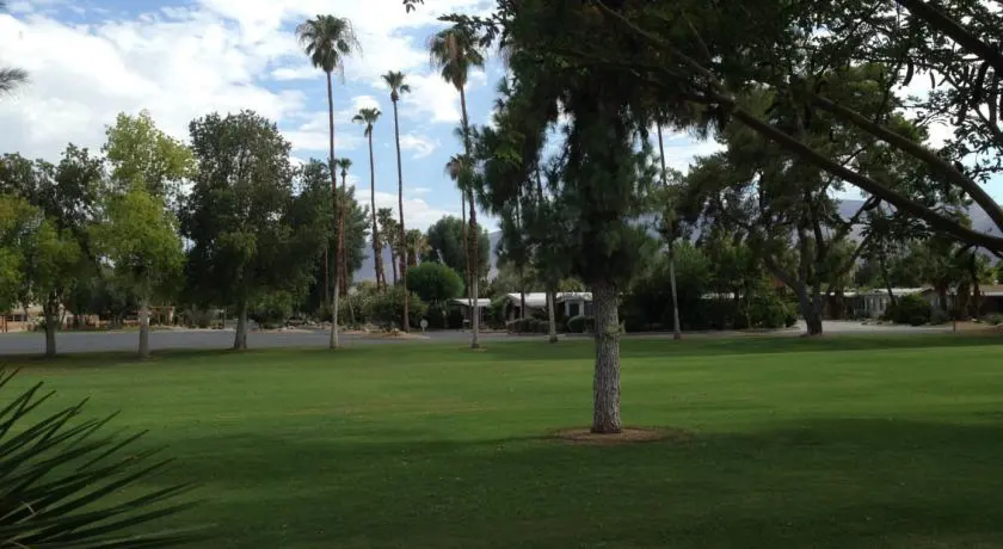 Roadrunner Club Borrego Springs - A Seniors-Only Community #168