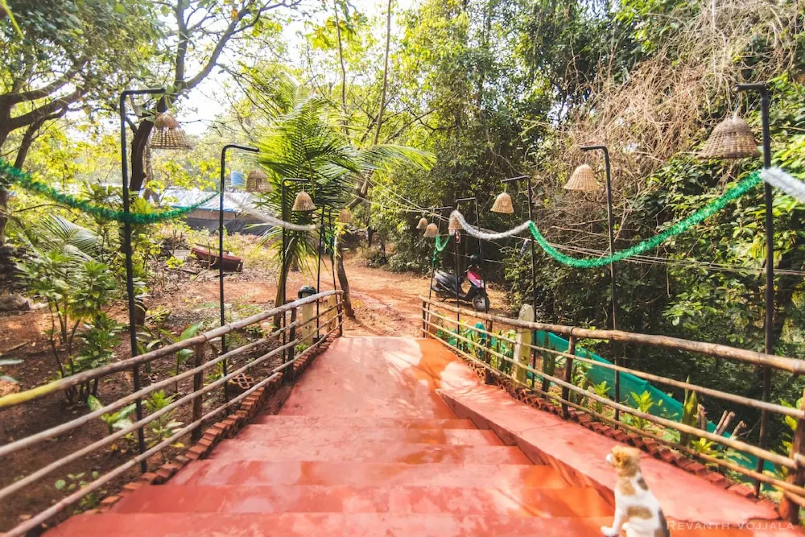 Roadhouse Hostel Arambol Goa