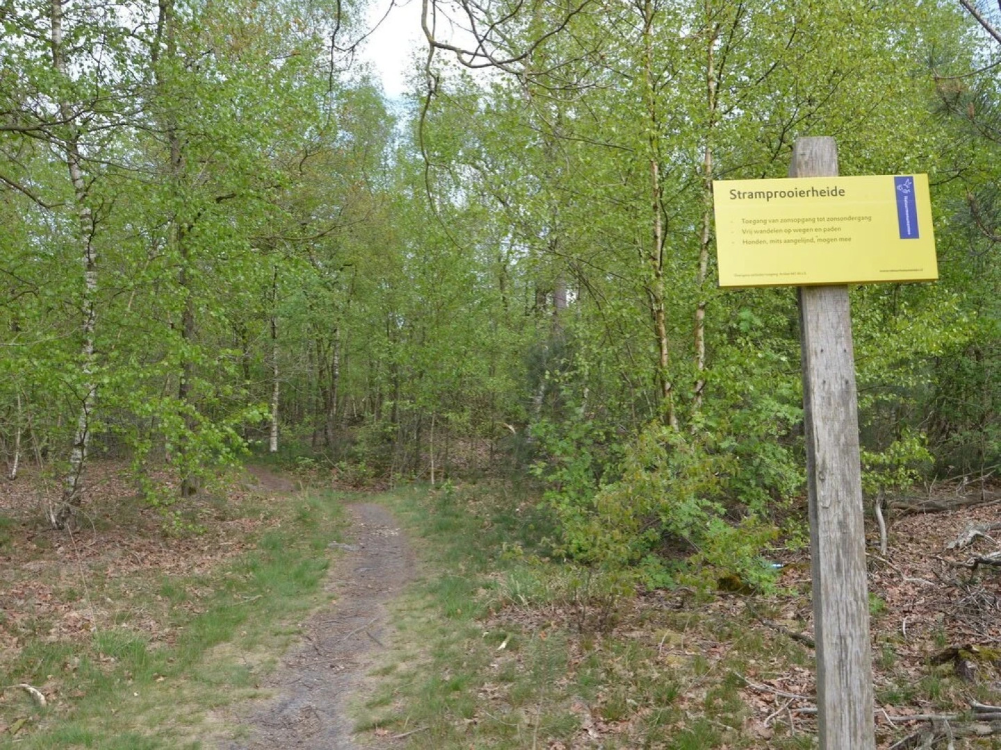 Remote Holiday Home in Limburg Amid a Forest