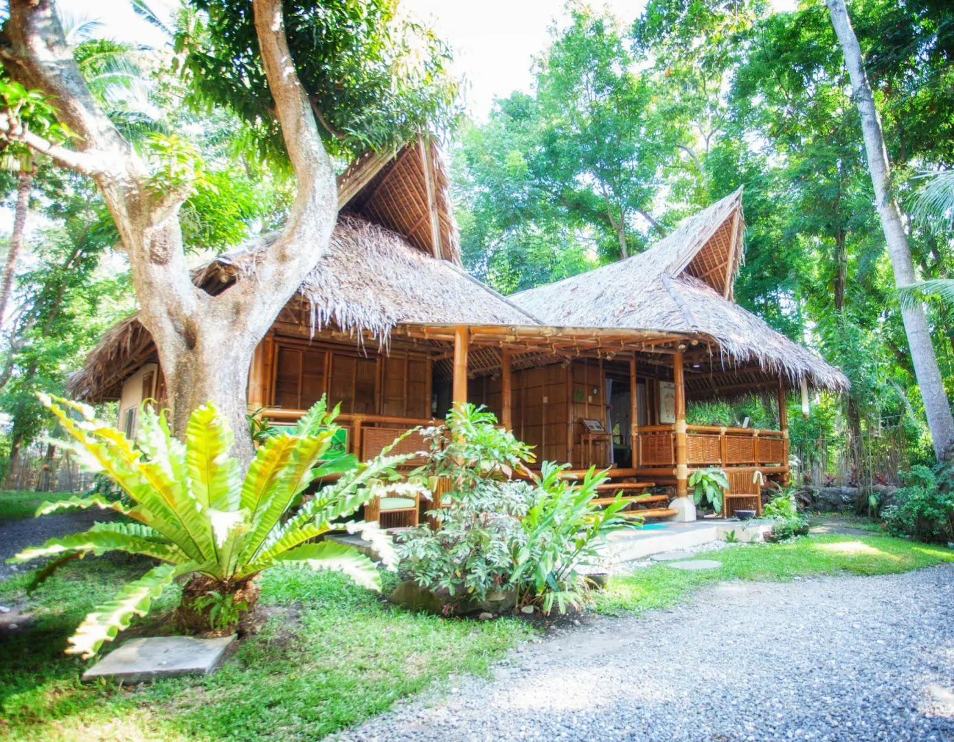 Pura Vida Beach & Dive Resort