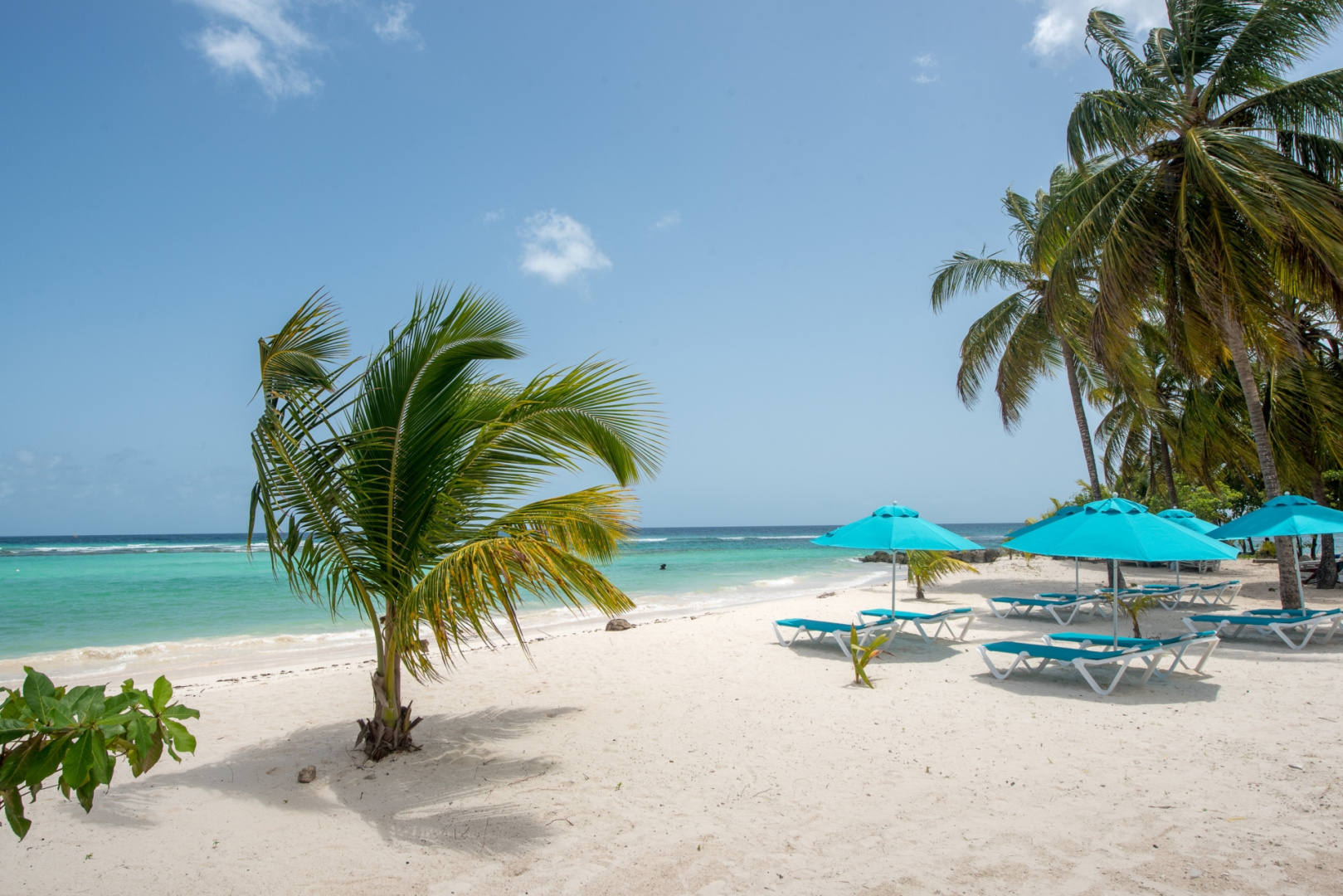 The Sands Barbados All Inclusive