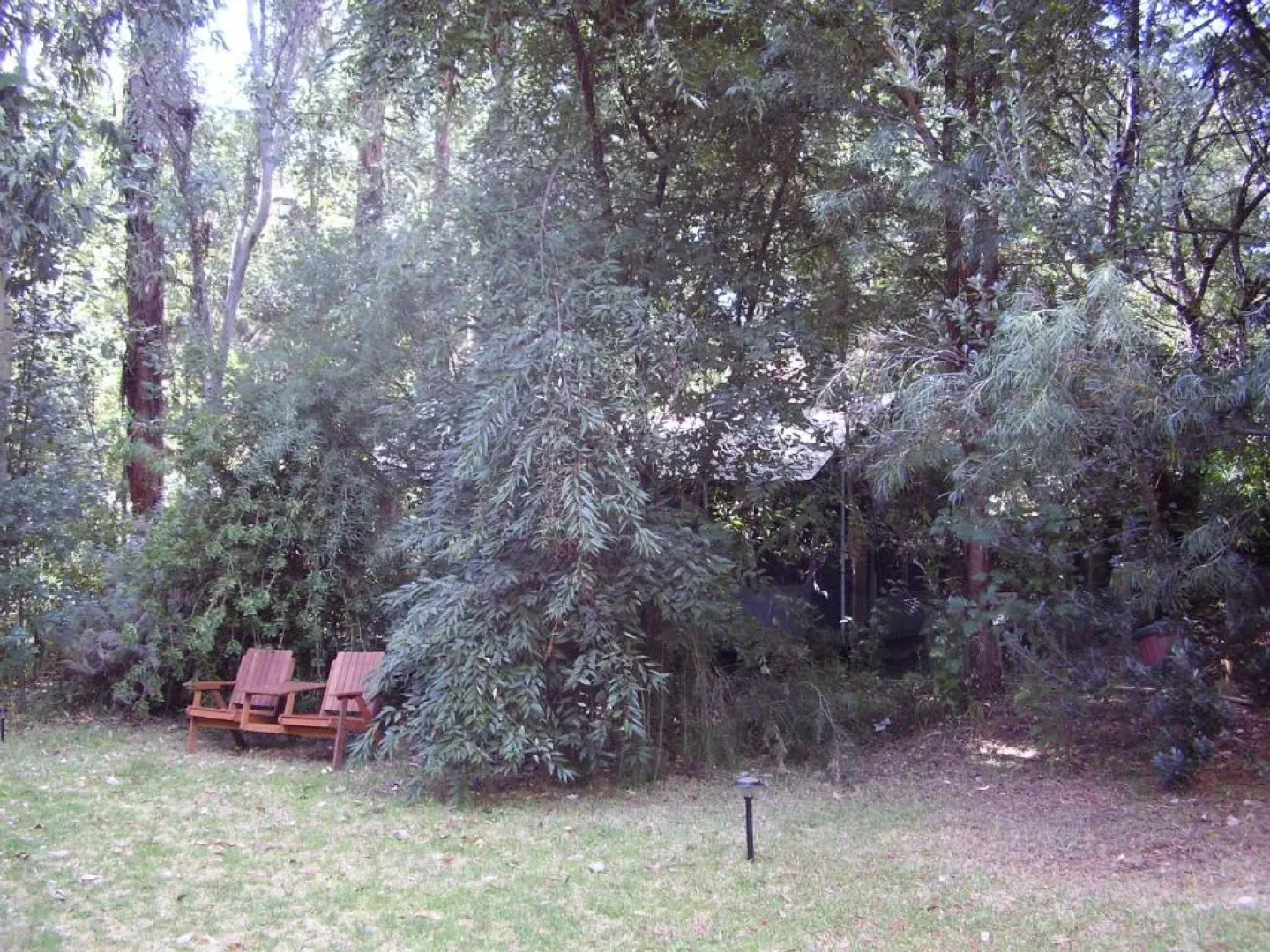 The Black Cockatoo Nannup