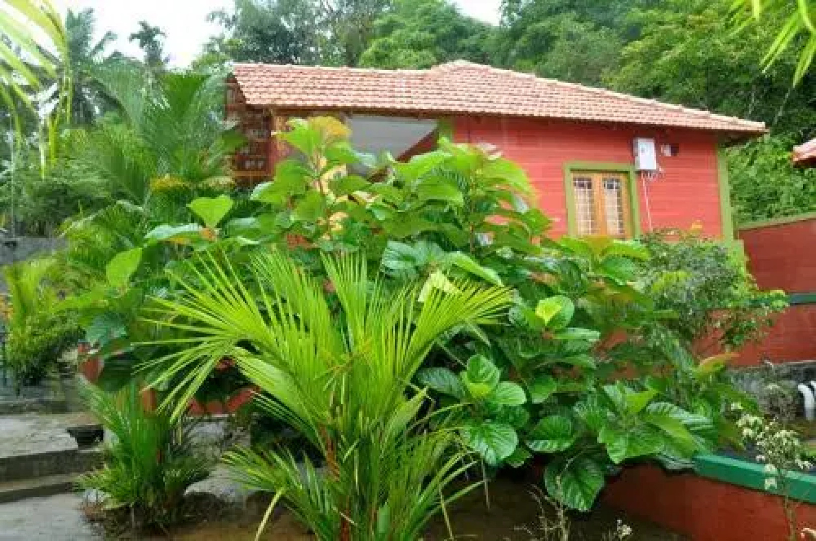 Wayanad Wind Resorts